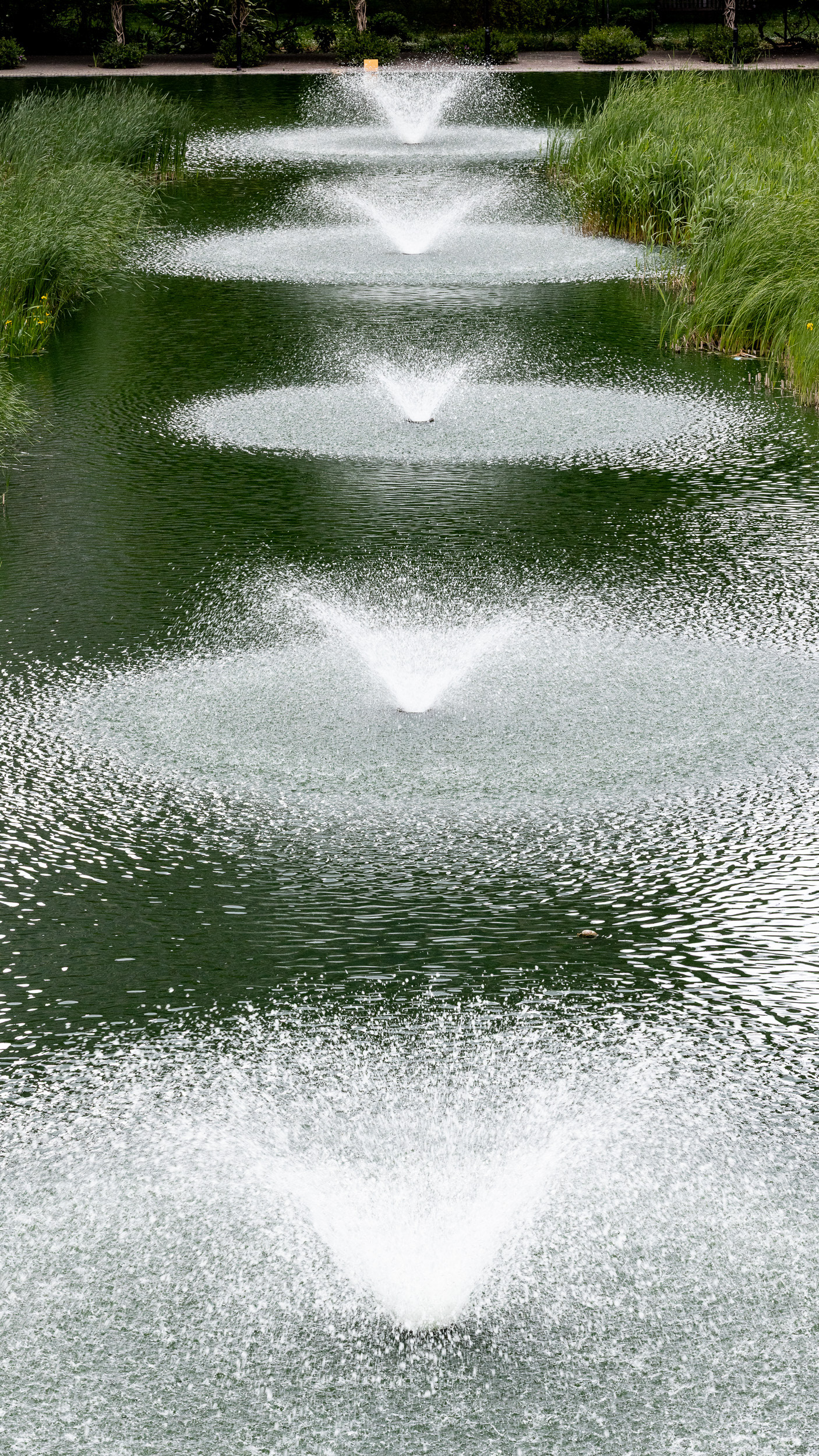 Fountains of Youth. Barbican, London.