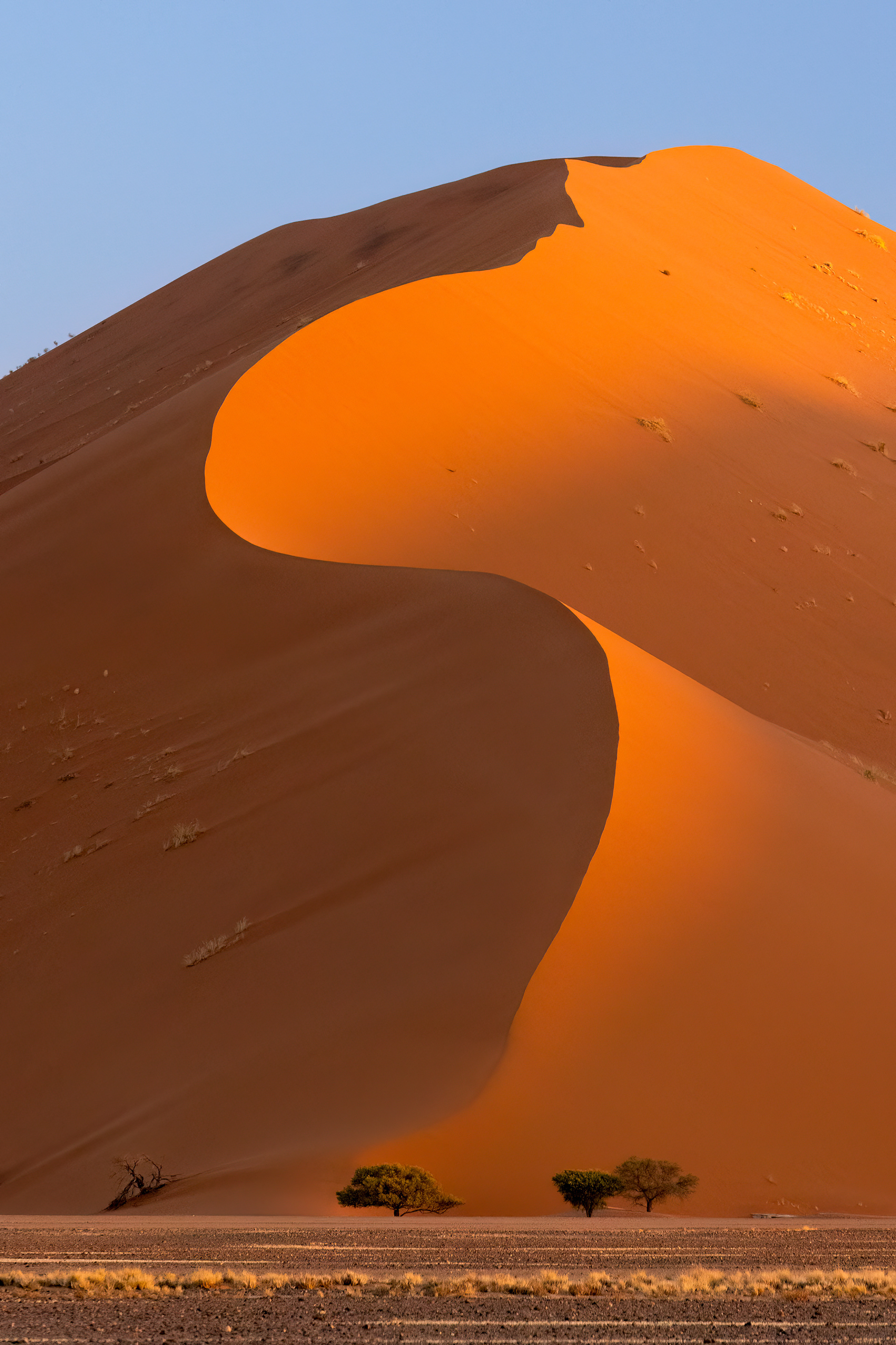 Sossuslvei V - Sossusvlei, Namibia.