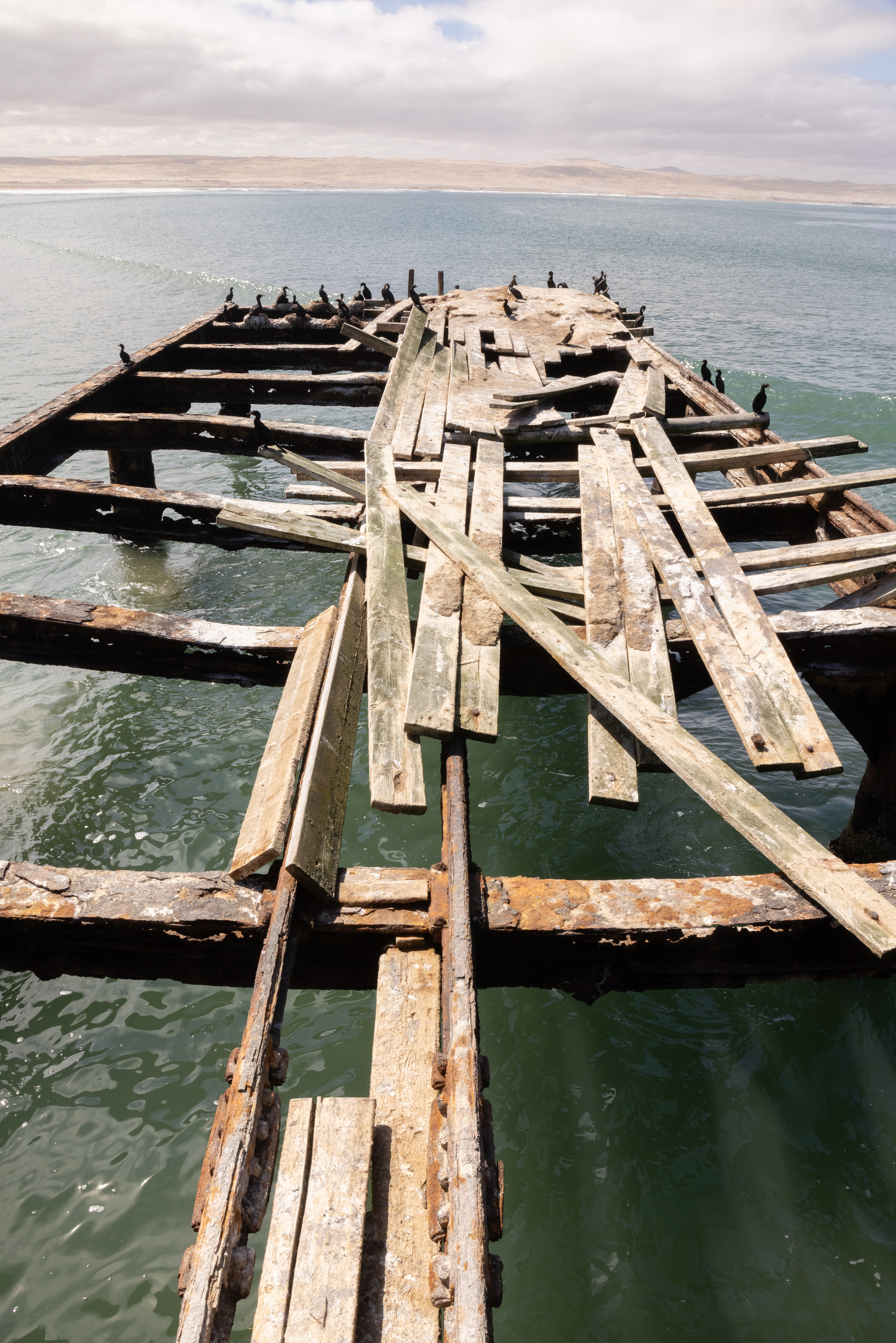 Walking the Plank - Elizabeth Bay, Namibia.