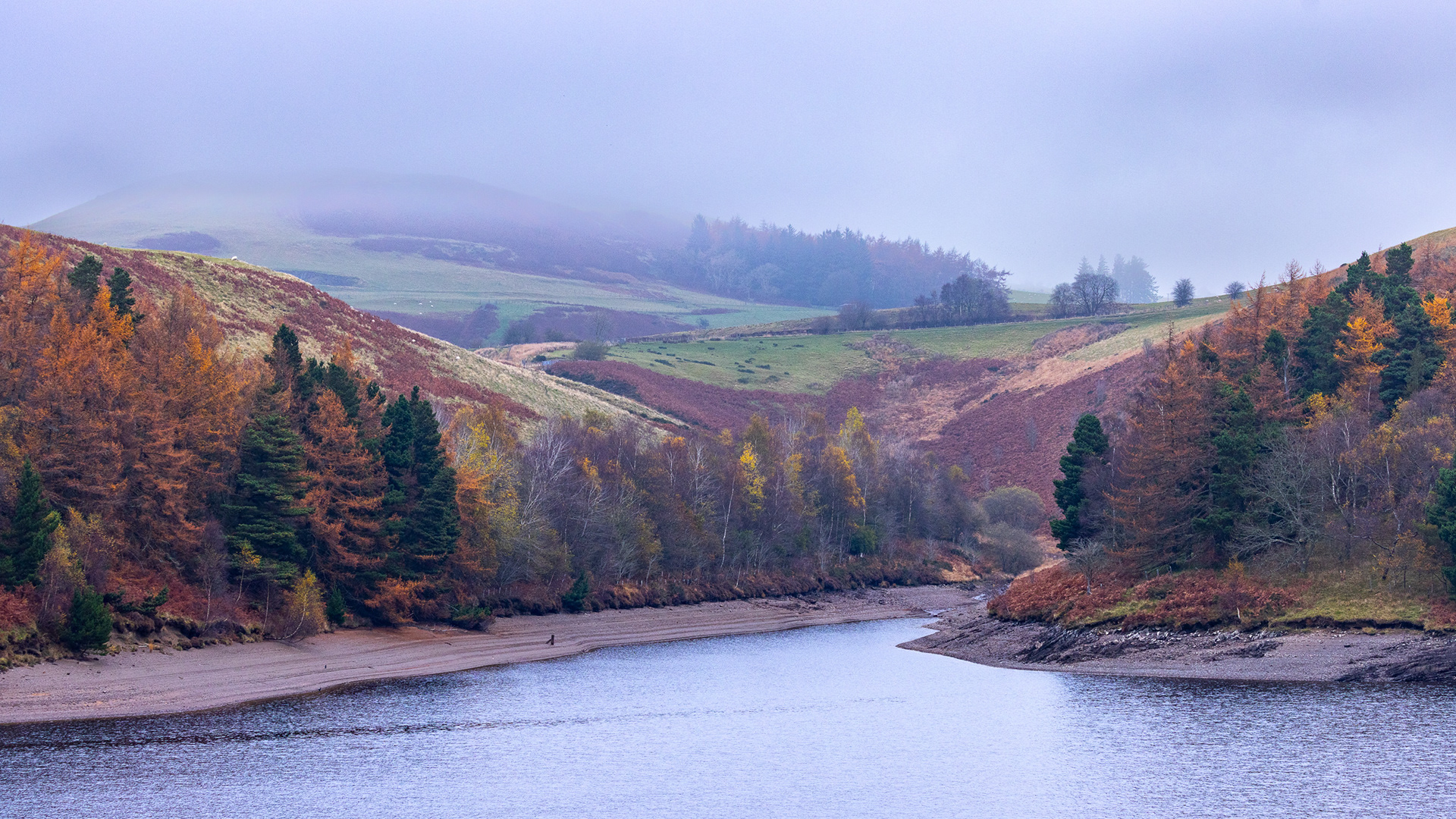 Autumn Colours, Llyn Clywedog Reservoir, Wales 2.