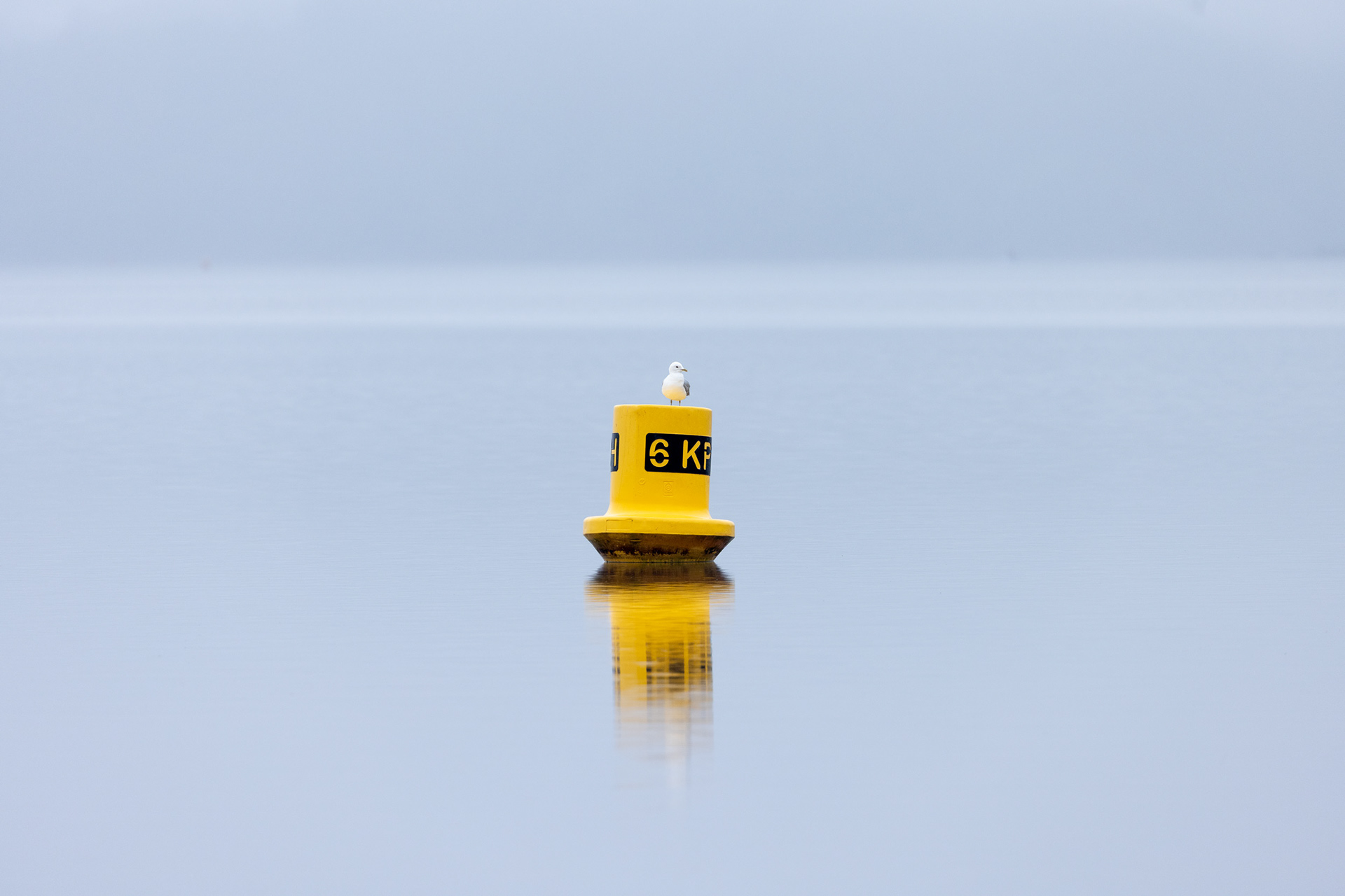 King of All He Surveys. Loch Lomond, Scotland.