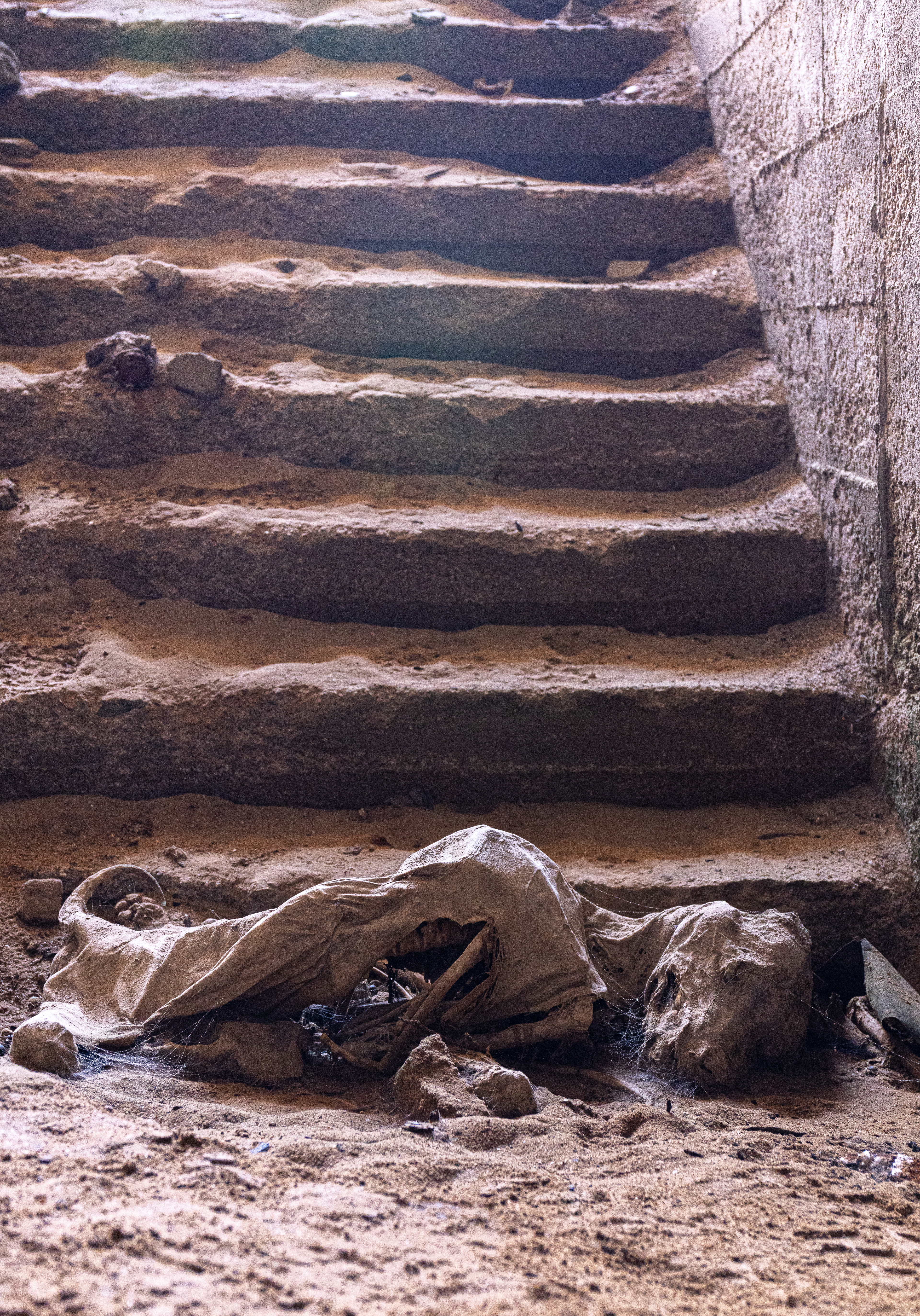 Desiccated Hyena - A hyena found its way down the steps of one of the basement buildings to die. Sheltered from what little rain there is, and with such a dry atmosphere, the body has been desiccated, preserving it from decomposition. By all accounts, it has lain like this for at least five years. Elizabeth Mine, Namibia.