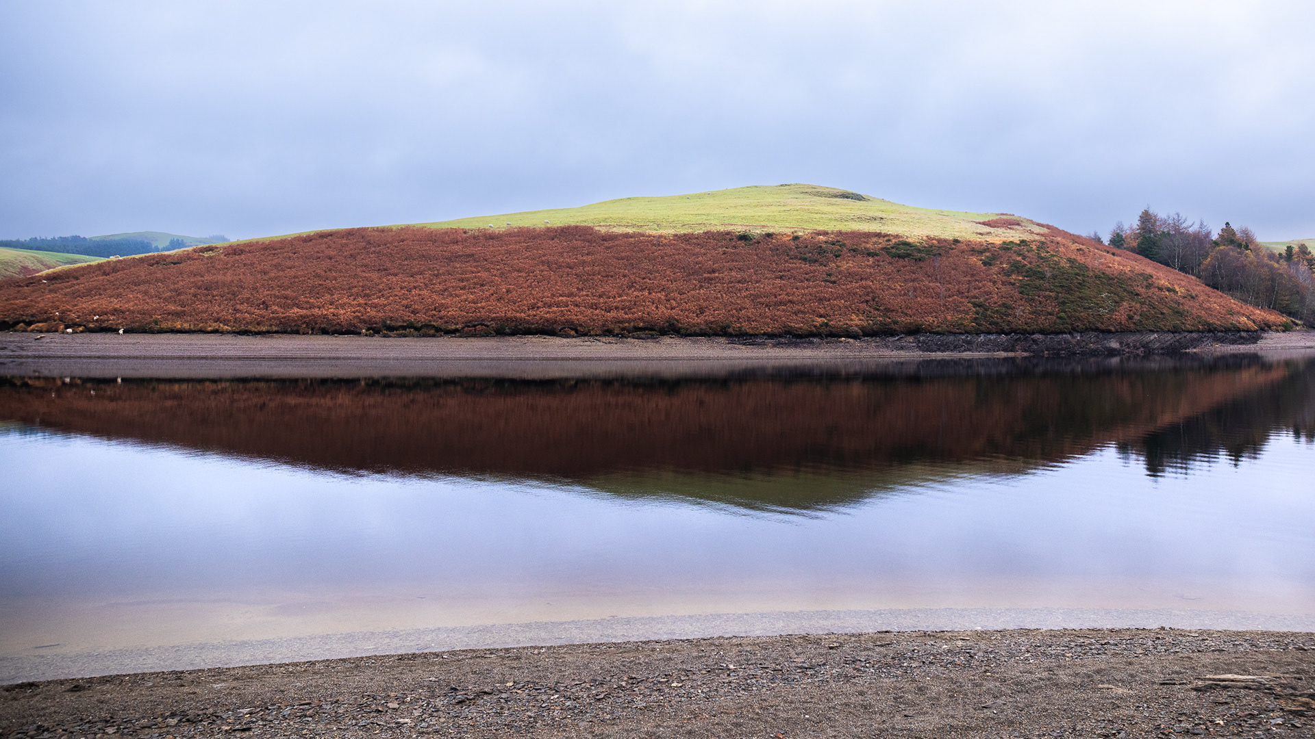 Autumn Colours, Llyn Clywedog Reservoir, Wales.