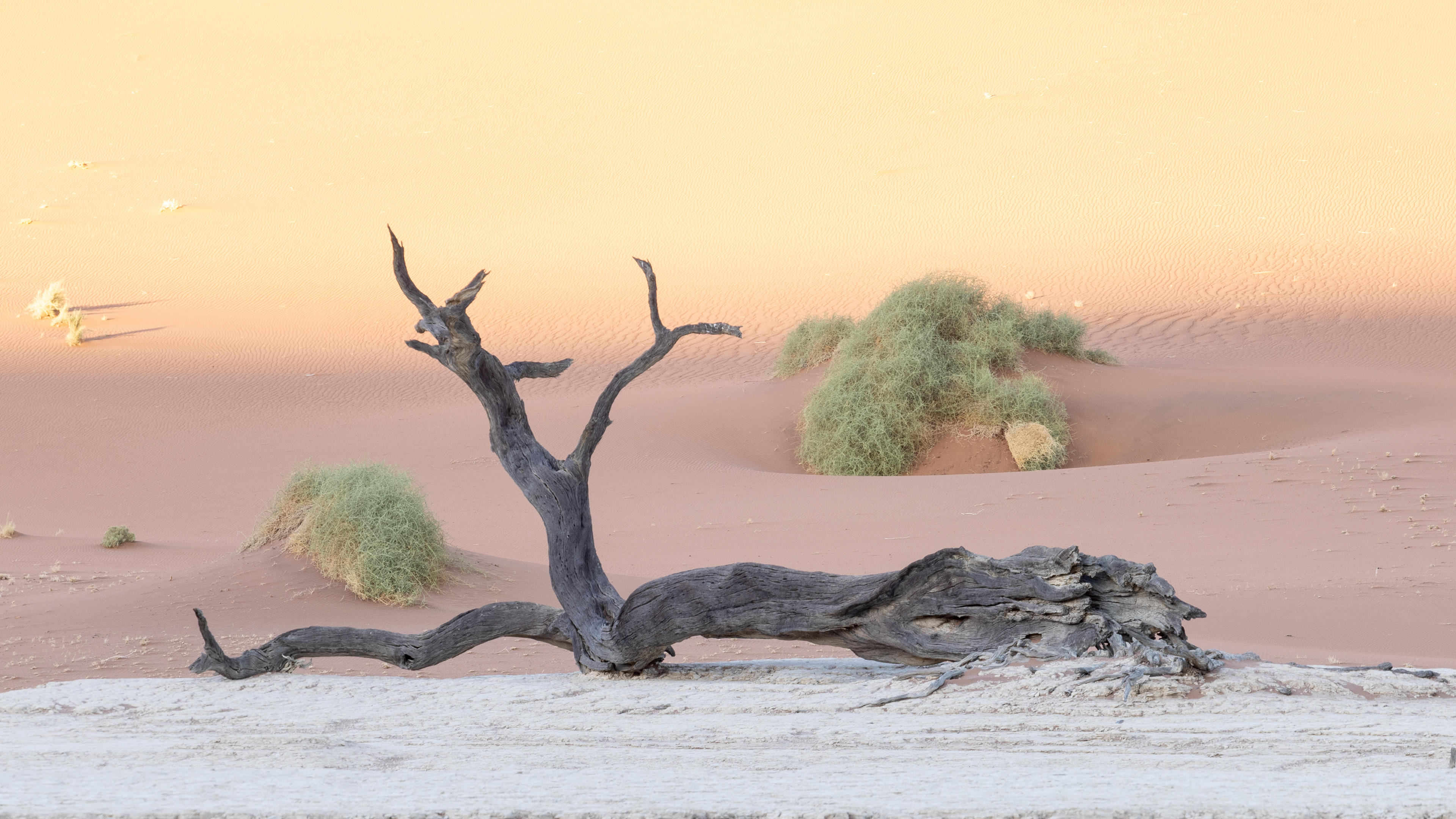 Deadvlei I - Deadvlei gets it name from the English "Dead" and Africaans, "vlei" meaning marsh. Deadvlei, Namibia.