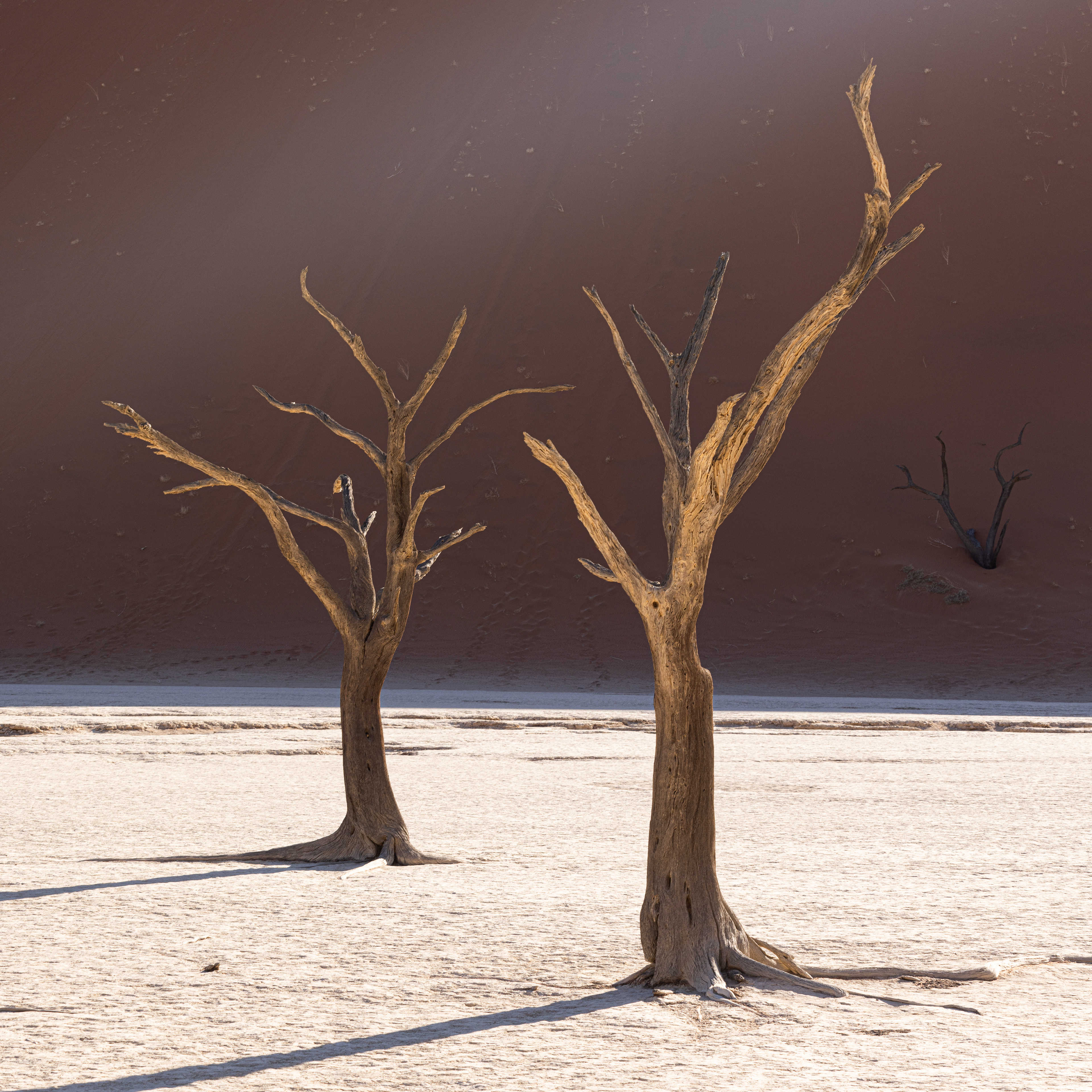 Deadvlei VIII - Deadvlei, Namibia.