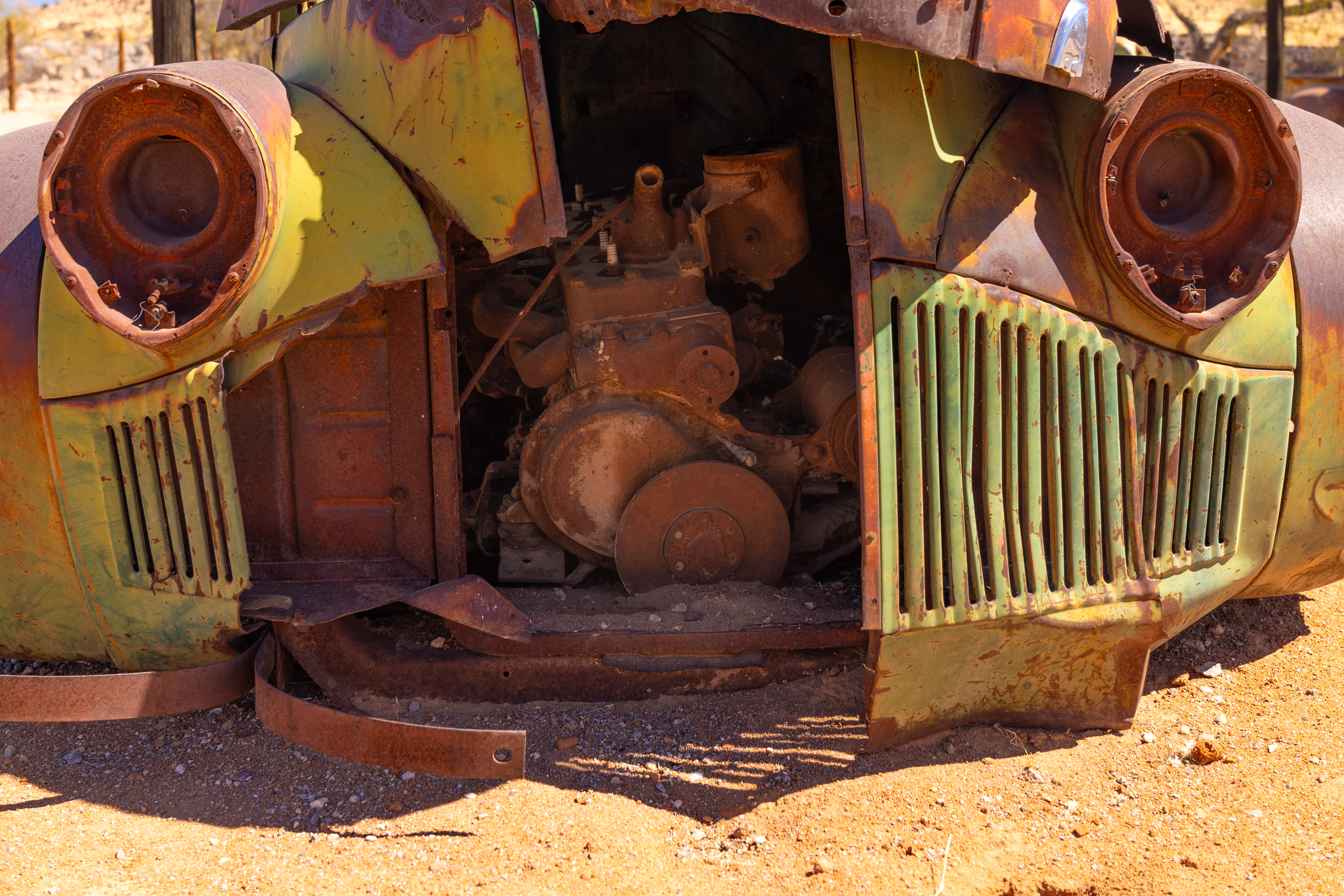 Ready to Spill Your Guts - Helmeringshausen, Namibia.