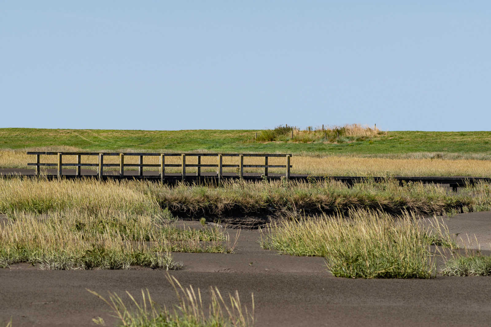 Langwarder Grooden bei Ebbe