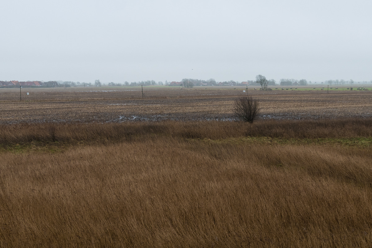 Auf dem Weg zum Pilsumer Leuchtturm