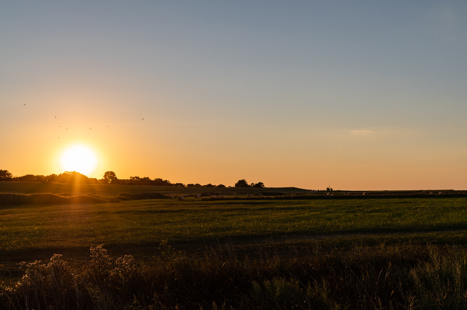 September in den Salzwiesen