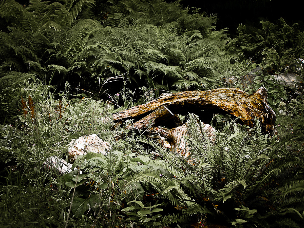 Irland | August 2006