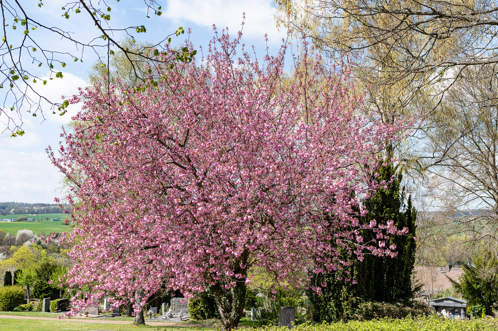Frühling in Diez