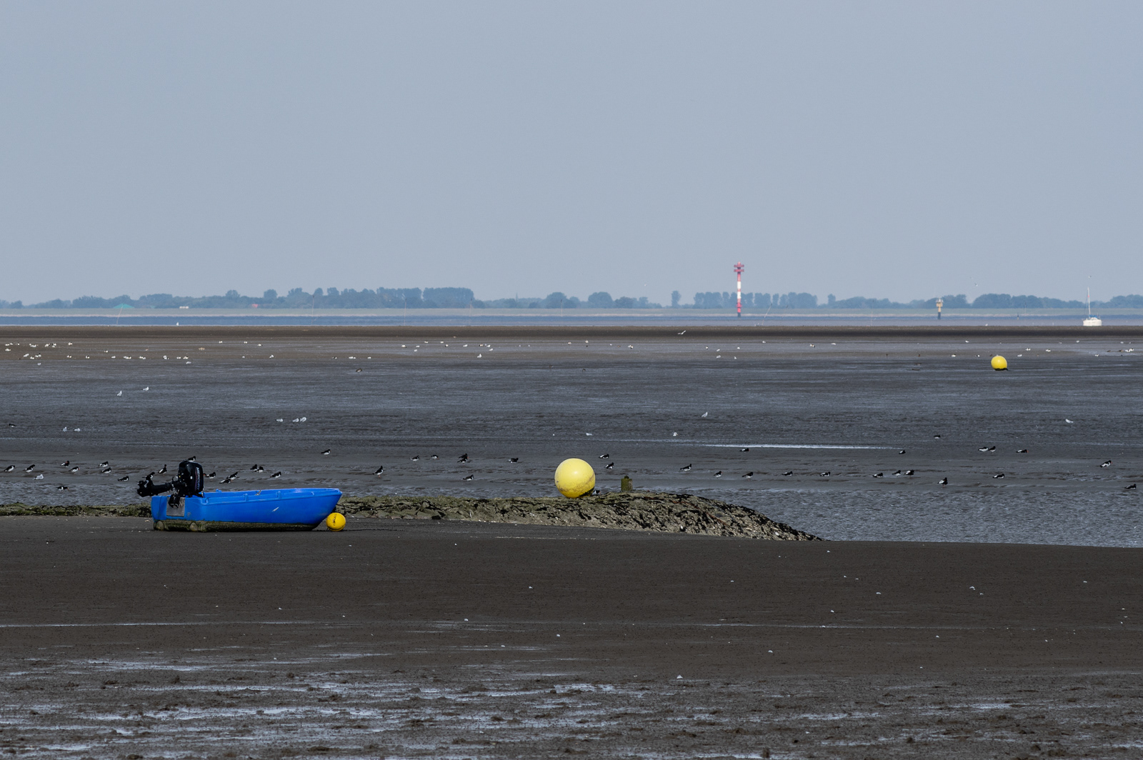 Bei Ebbe an der Weser