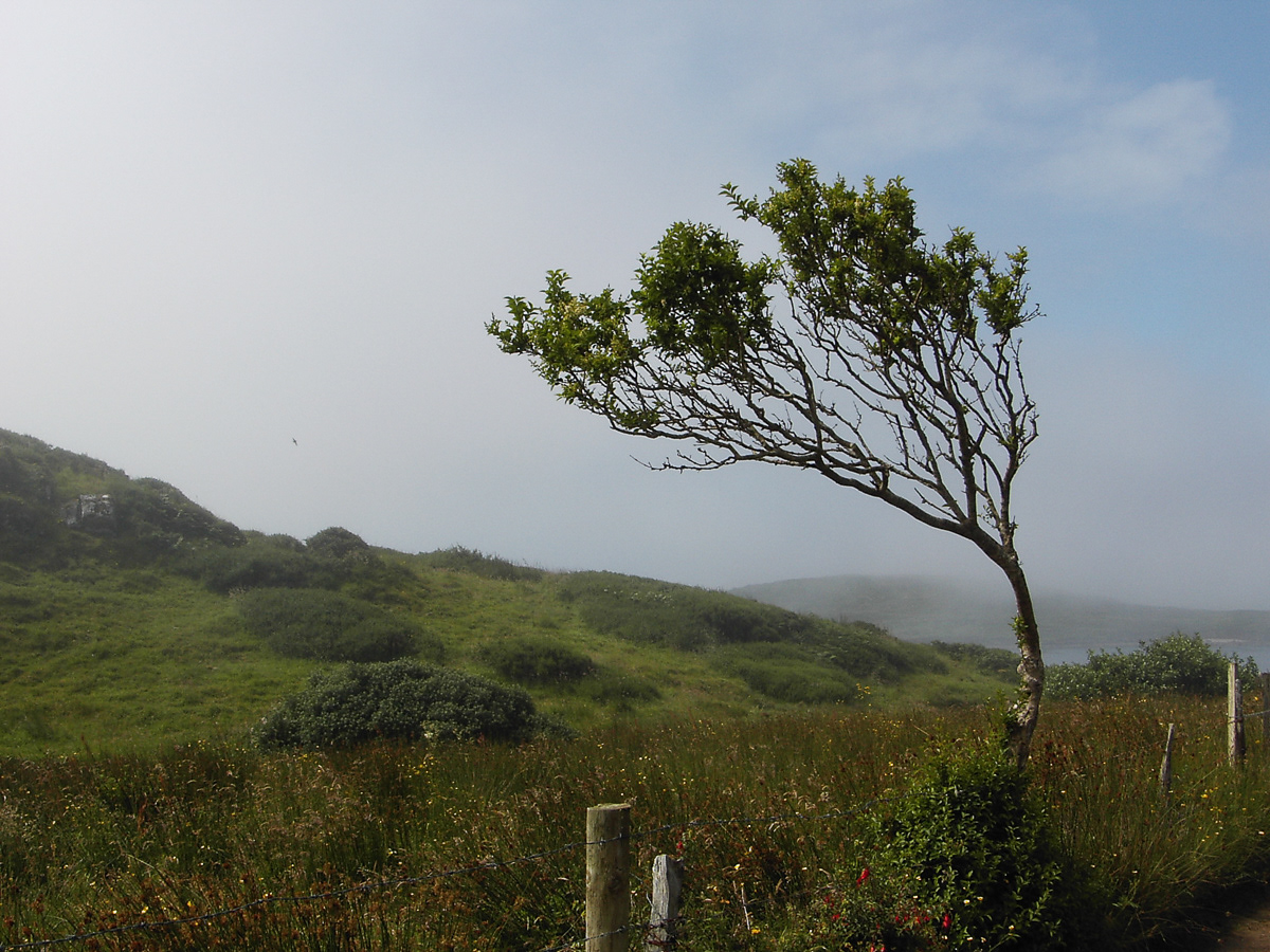 Irland | August 2005