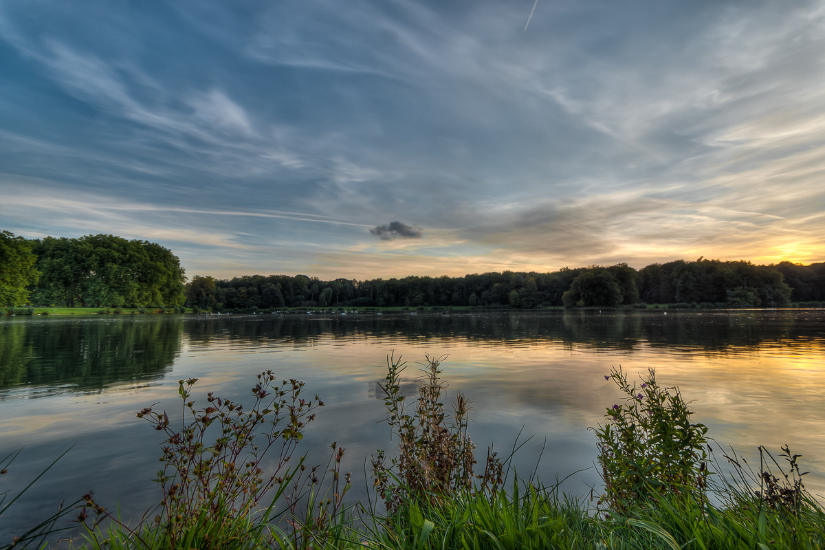 Decksteiner Weiher, Köln | 2011