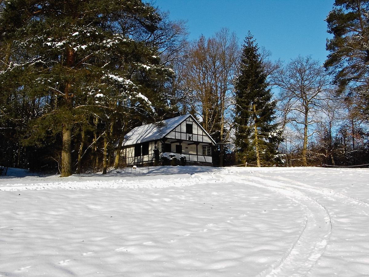 Hunsrück | Februar 2004