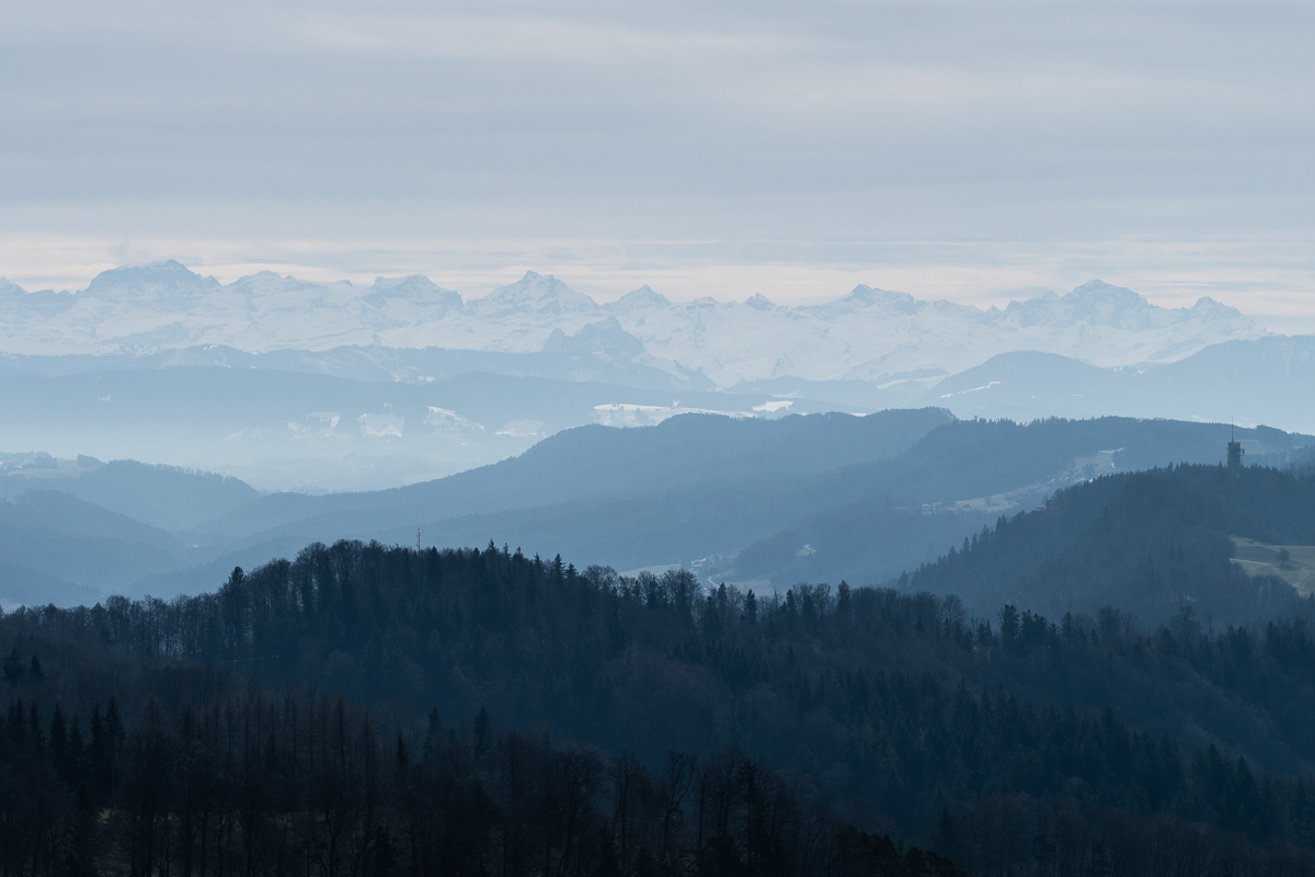 Thalwil (Schweiz) | 2017