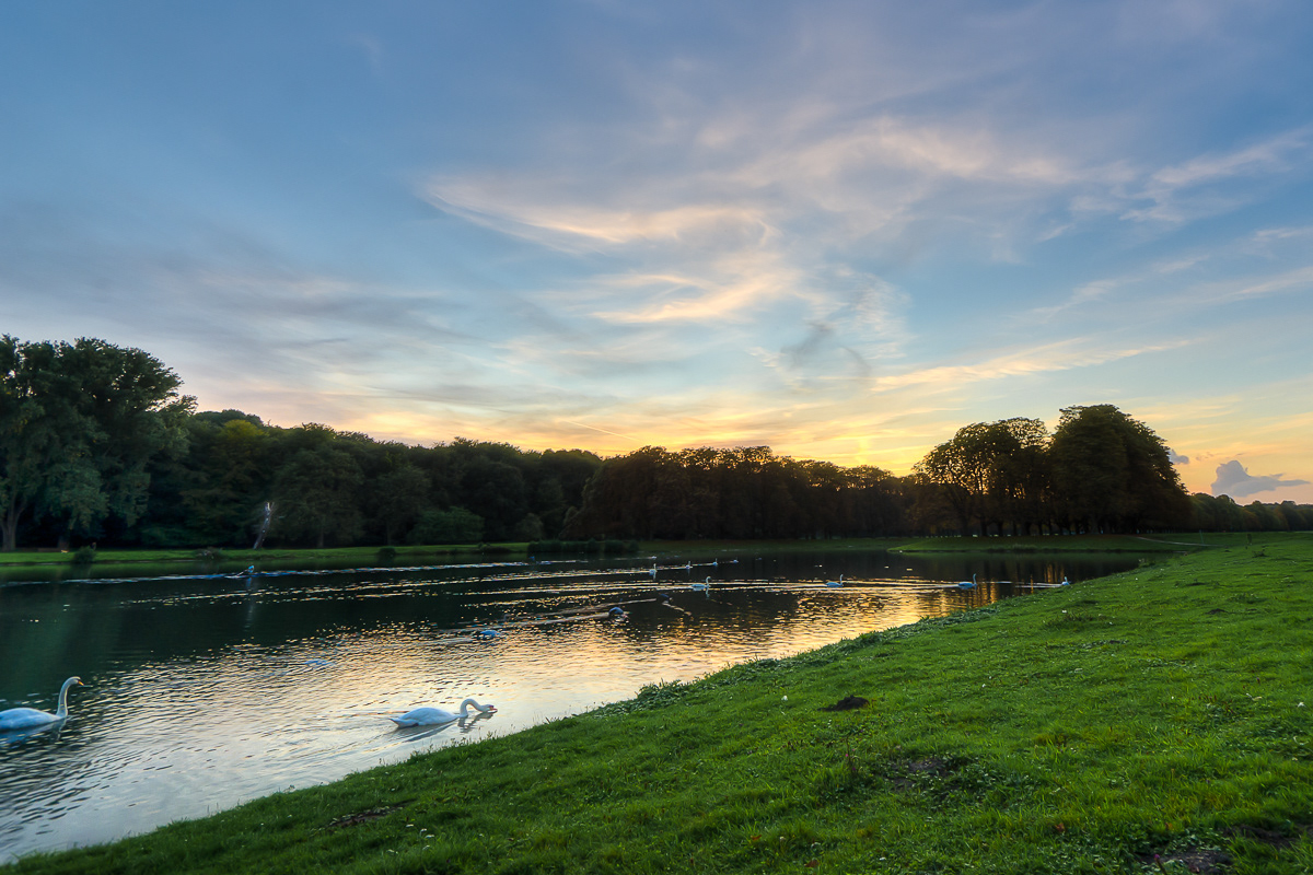 Decksteiner Weiher, Köln | 2011