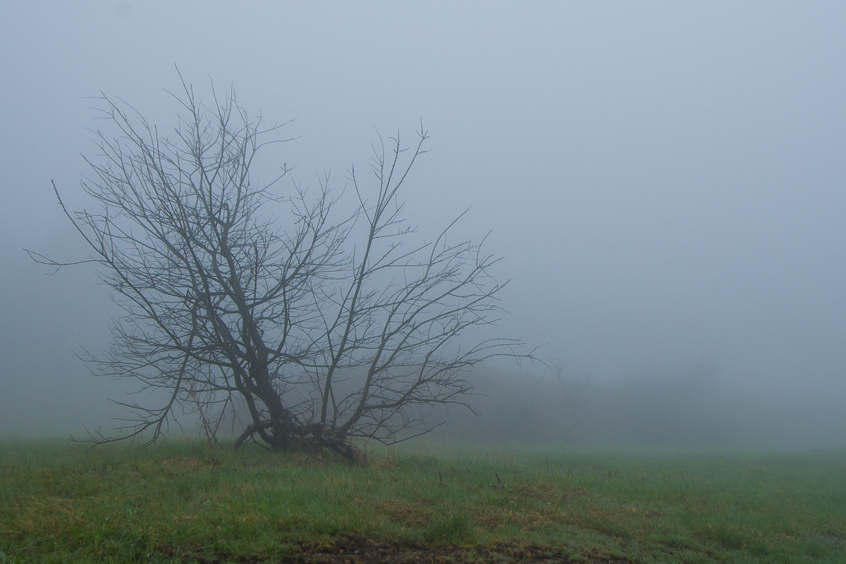 Erzgebirge | Mai 2010