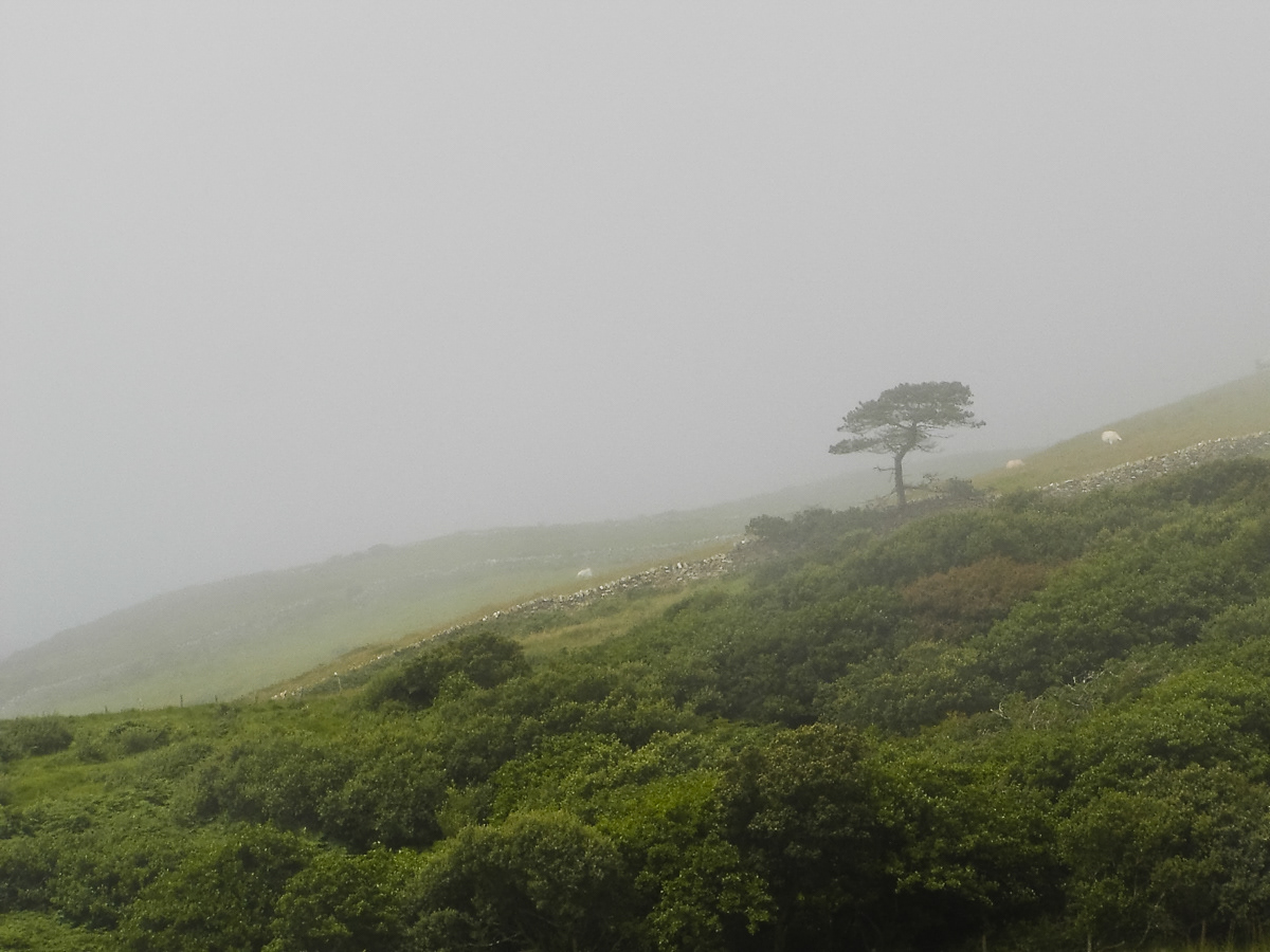 Irland | August 2005