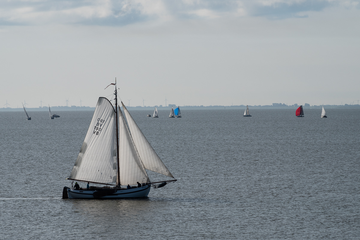 Regatta auf dem Jadebusen