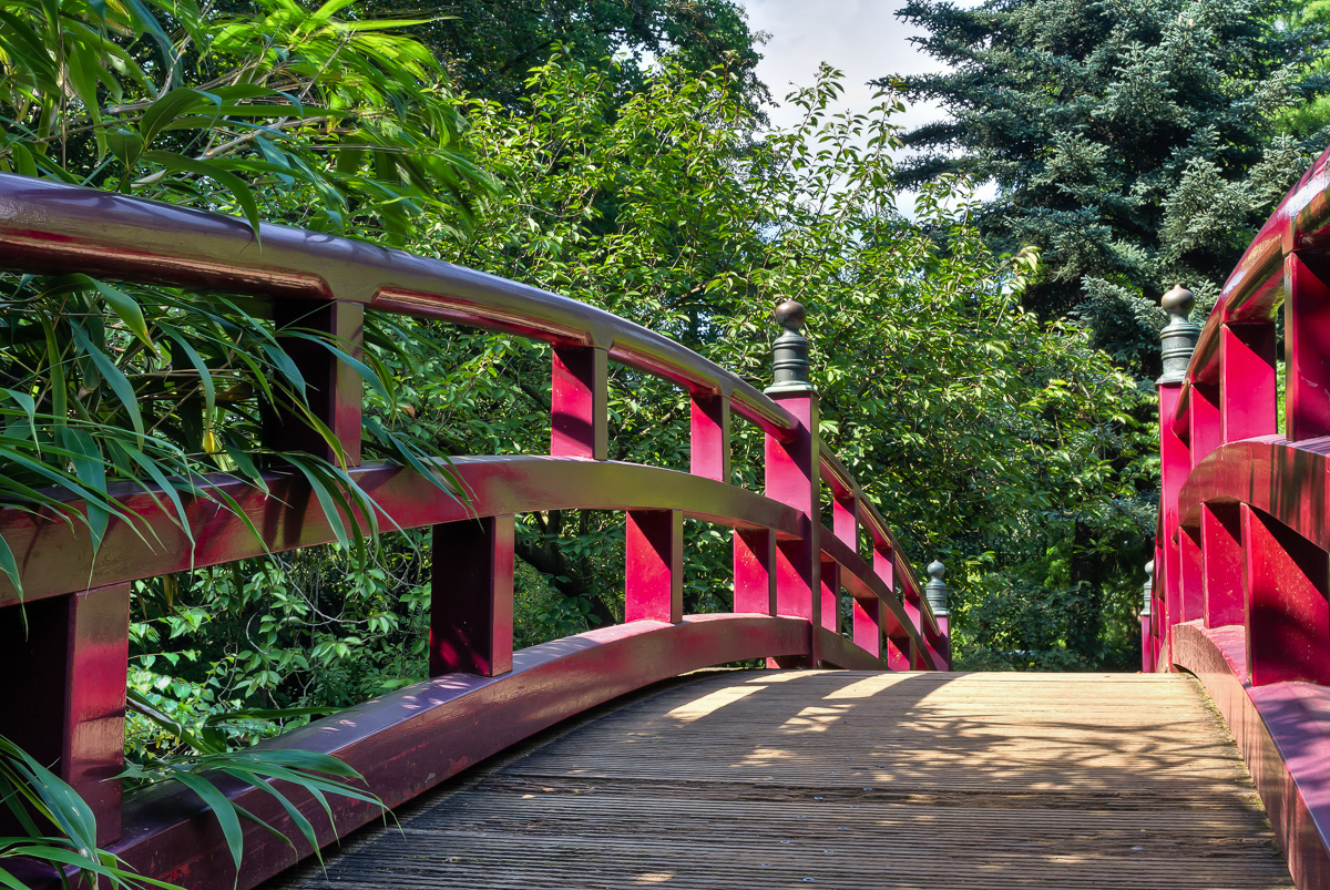 Japanischer Garten, Leverkusen | 2011