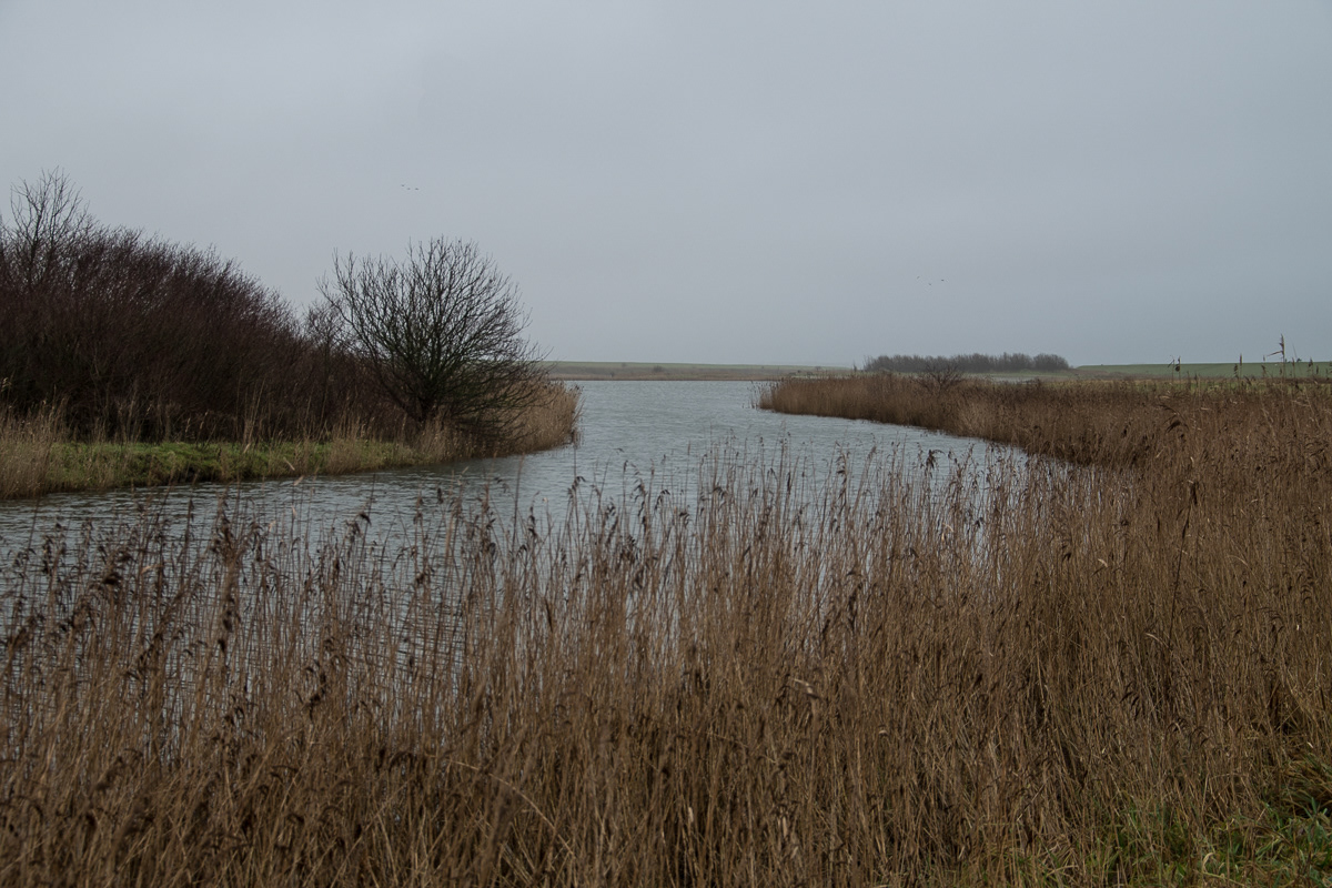 Auf dem Weg zum Pilsumer Leuchtturm