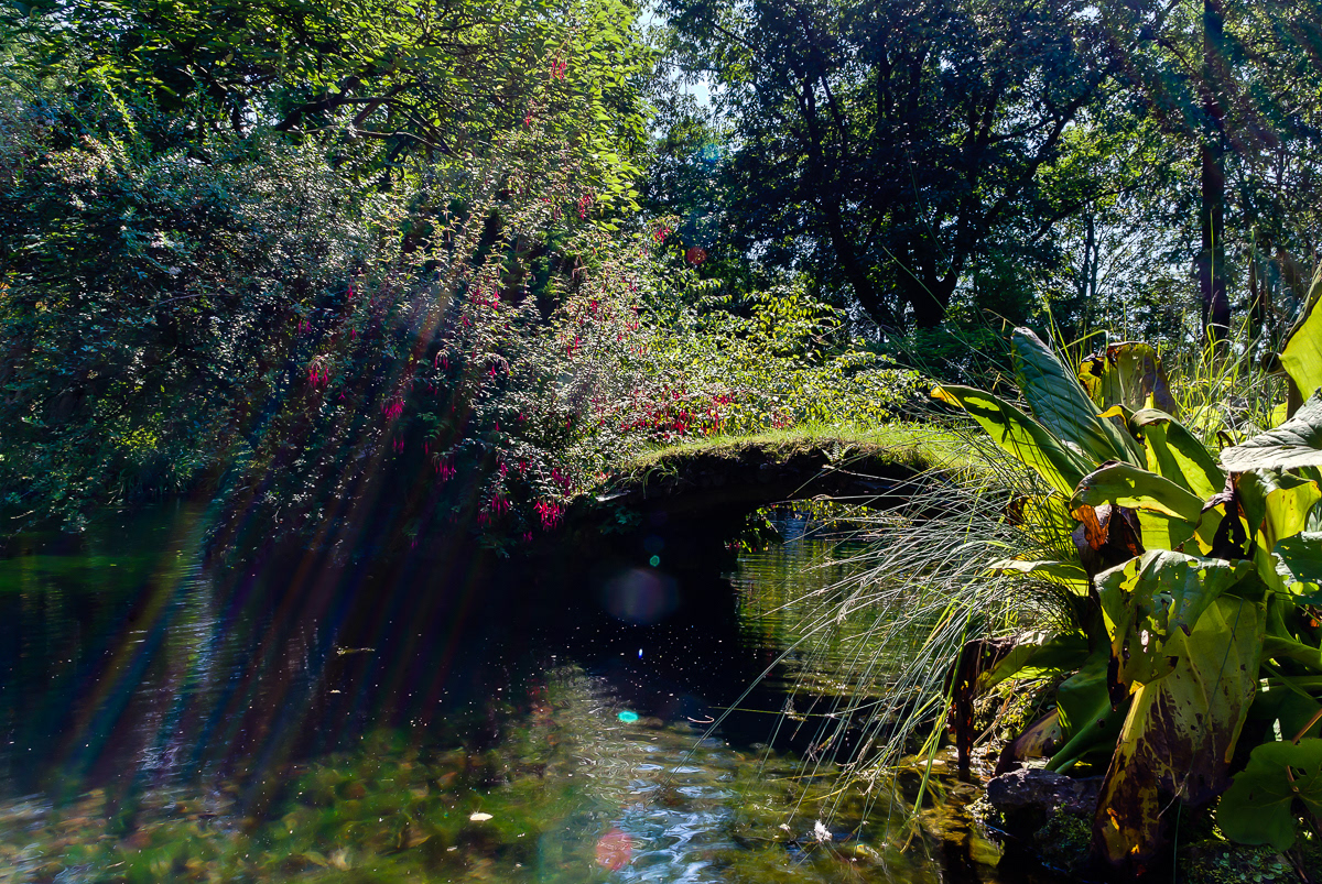 Japanischer Garten, Leverkusen | 2011
