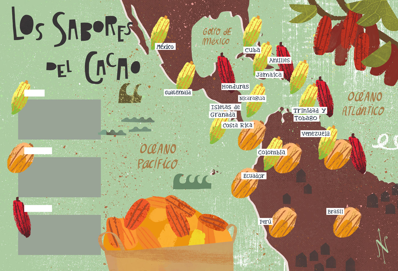 Illustrated map of the types of cocoa harvested in central and south america by Cris Tamay.