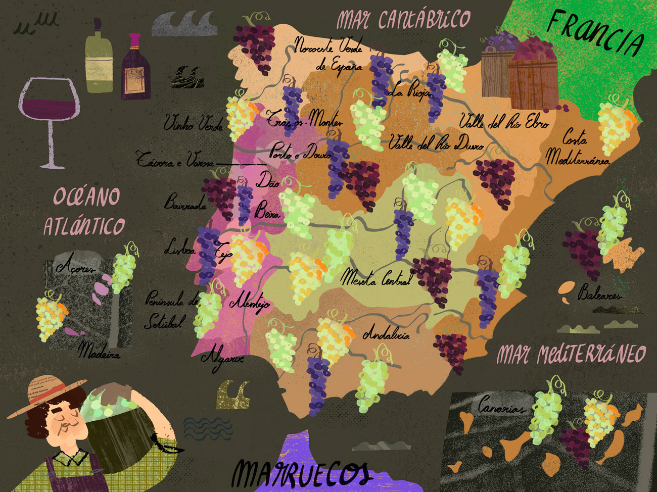 Illustrated map of the different grapes harvested in Spain and Portugal for wine.