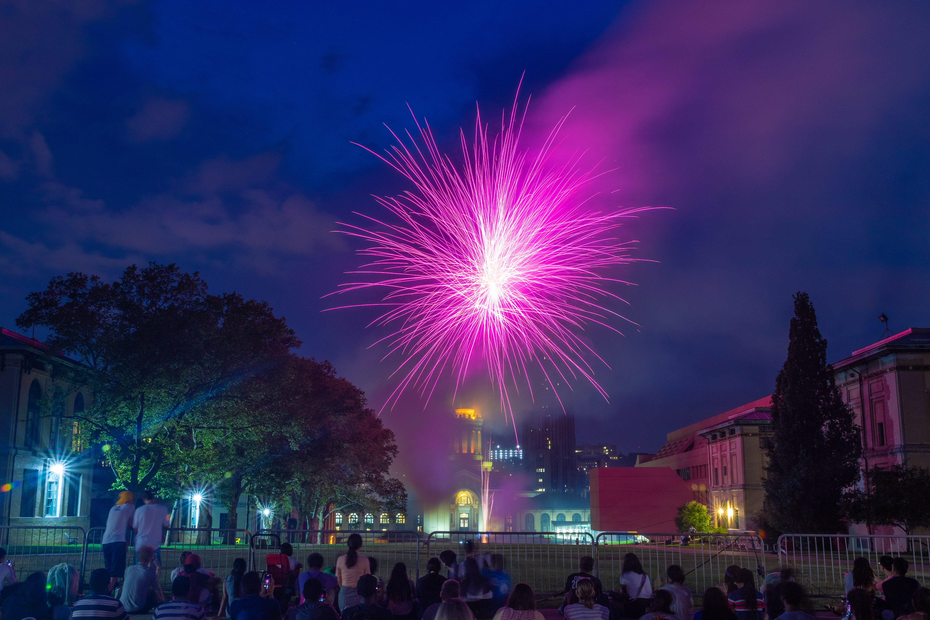 110 - Purple Fireworks