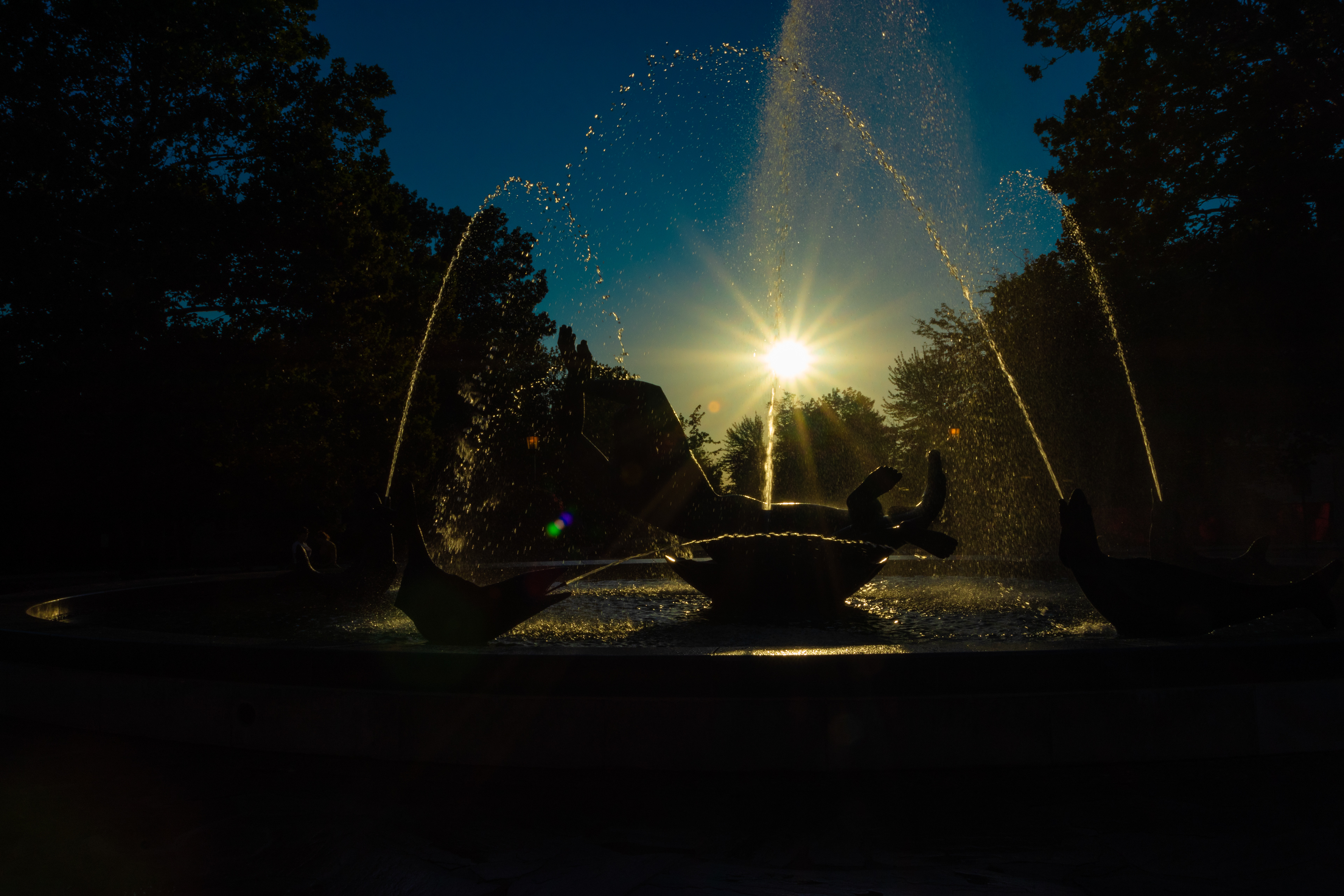 50- Sunset over Showalter