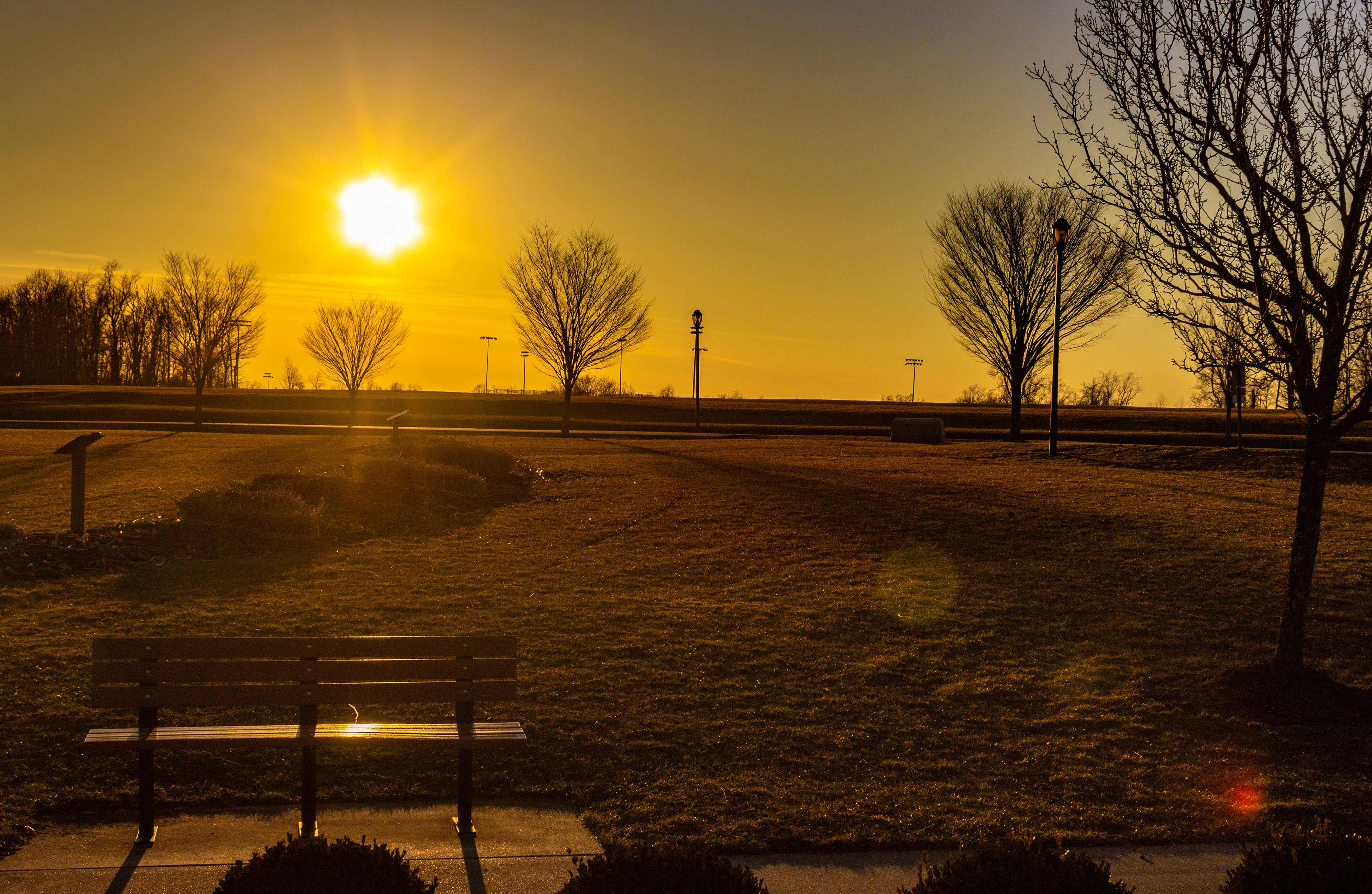 105 - Sunset at the Park