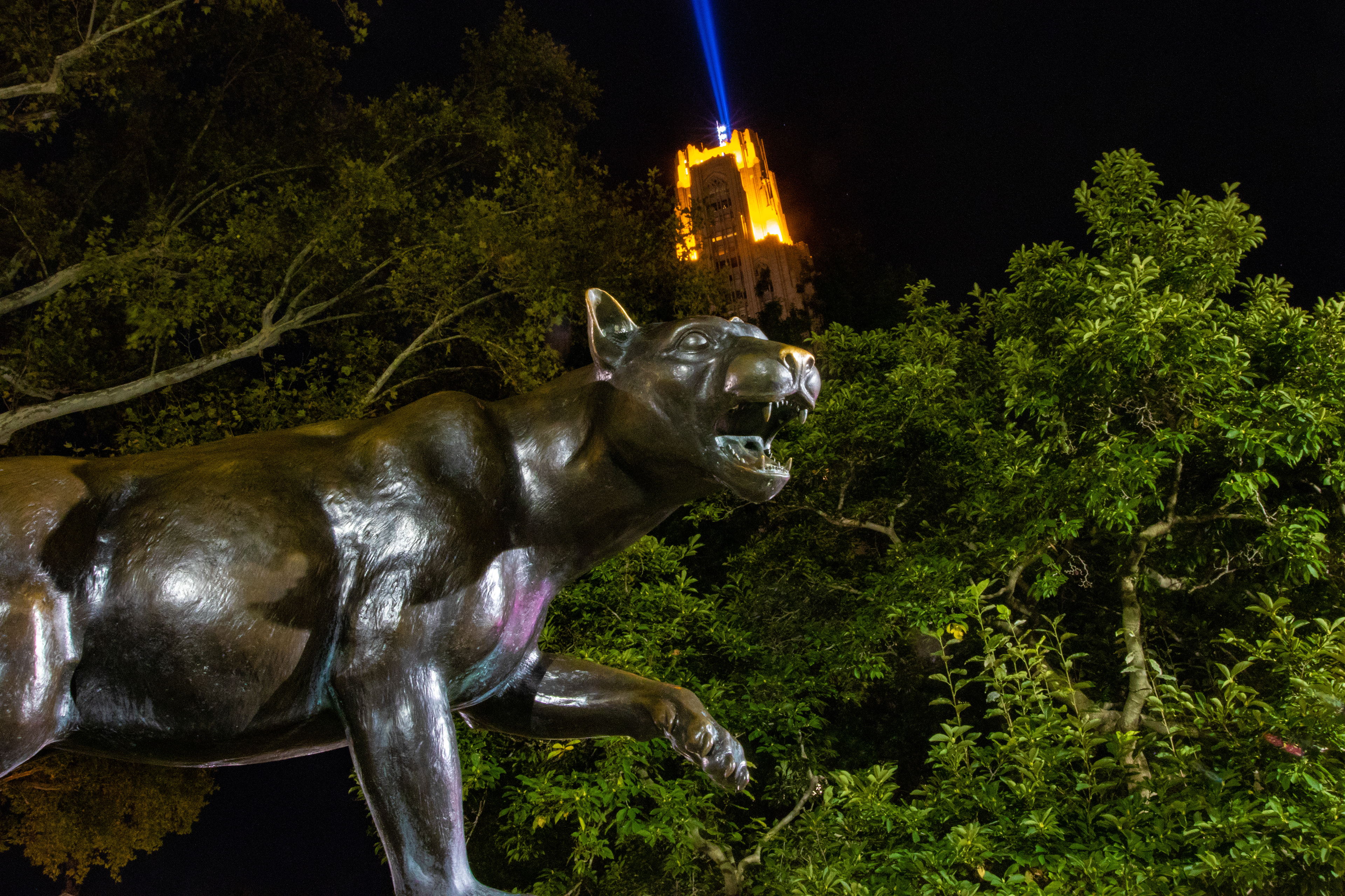 64- Panther Victory