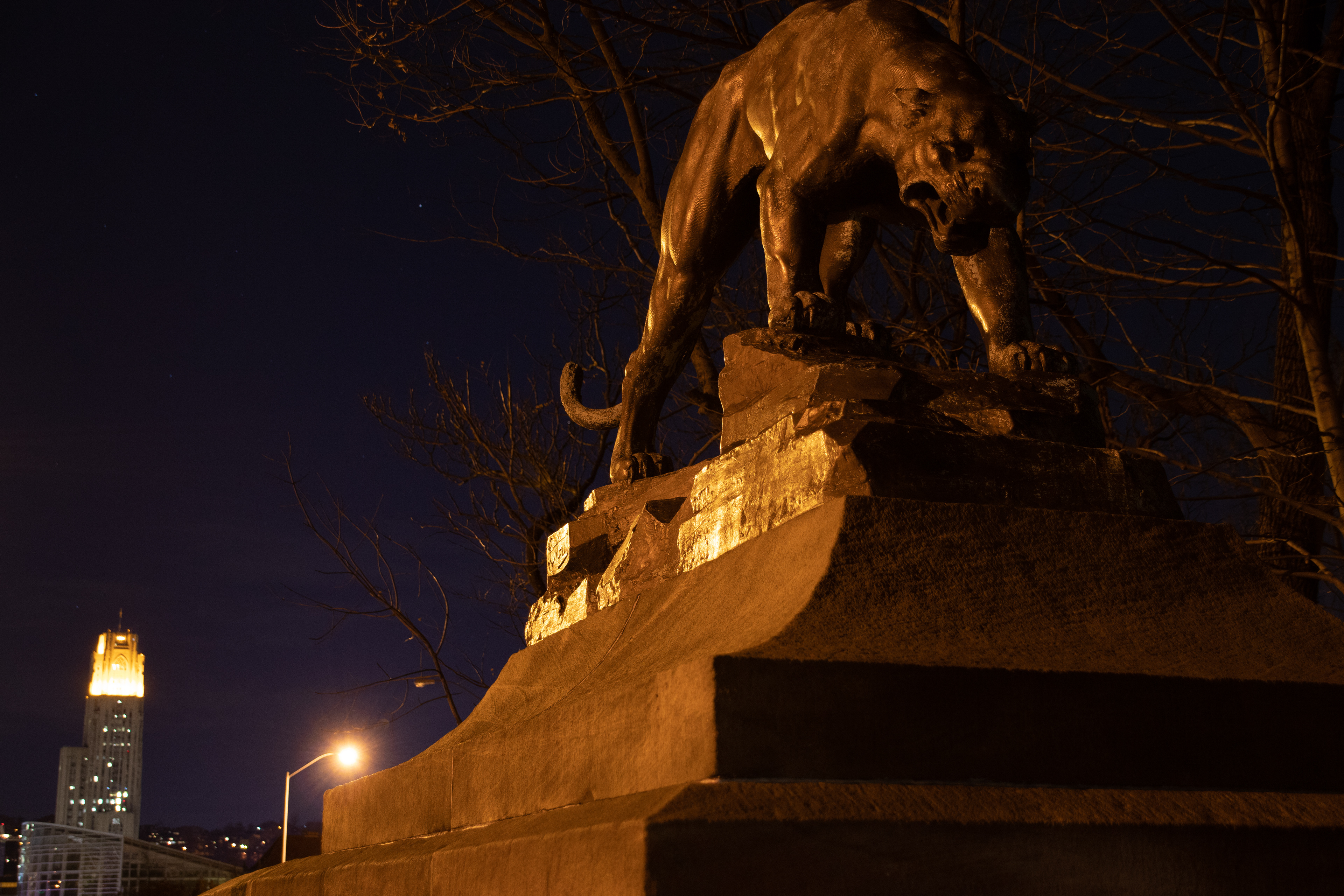 104 - Panthers Victory