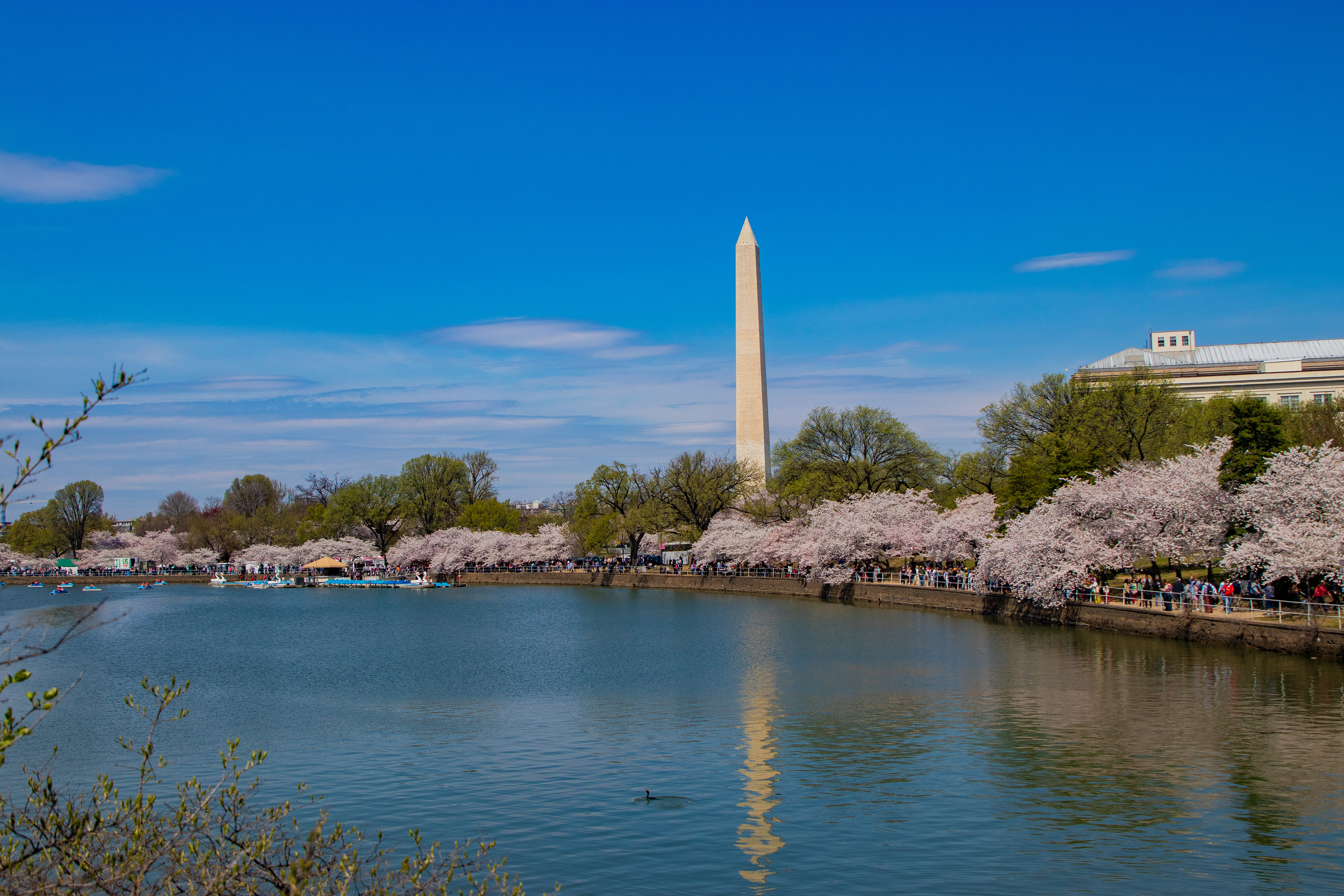 55- Washington Monument
