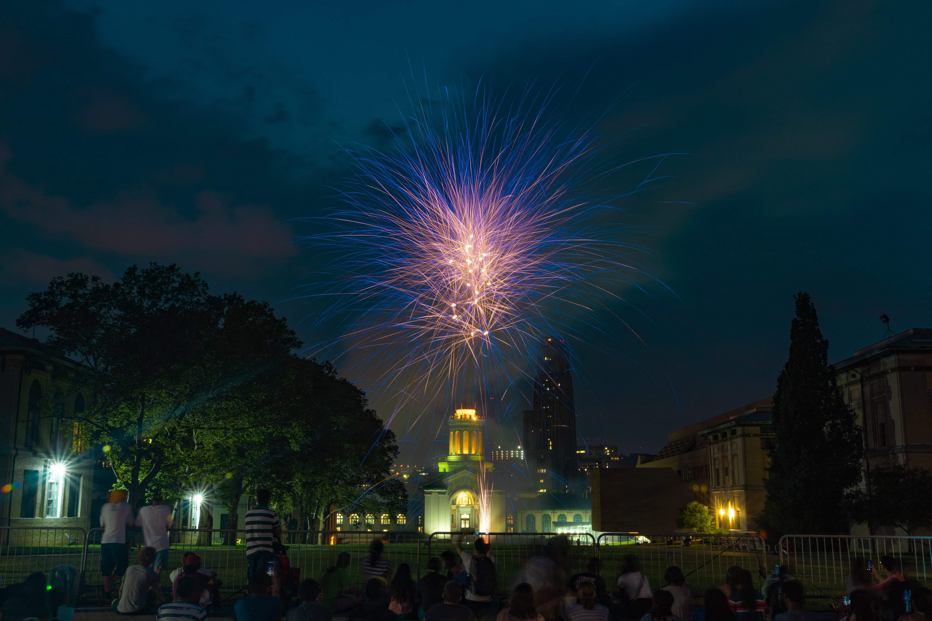 109 - Blue and Yellow Fireworks