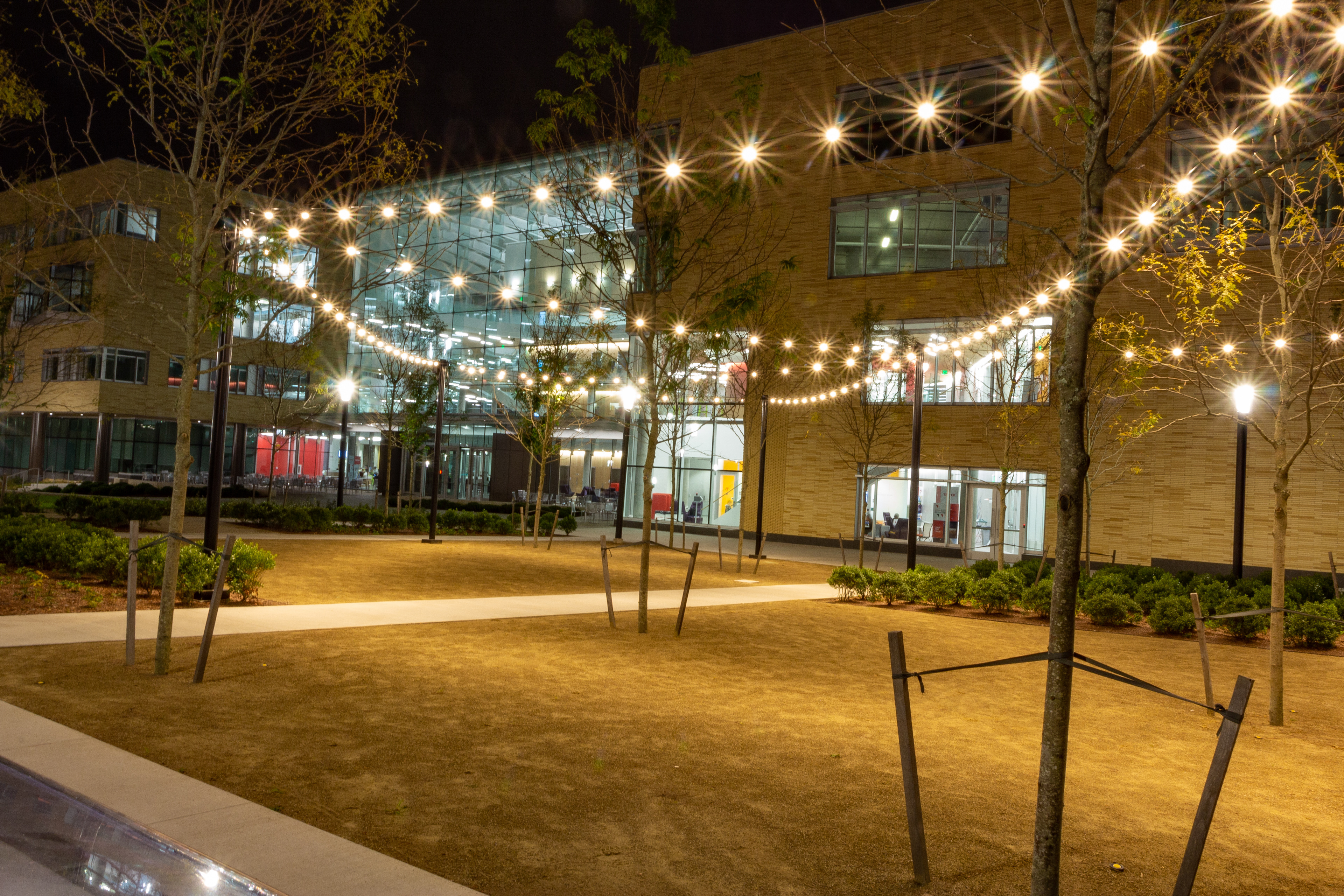 44- Nighttime at the Quad