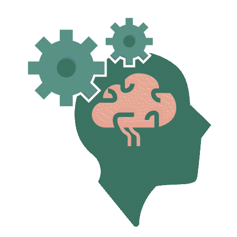 Brain Function