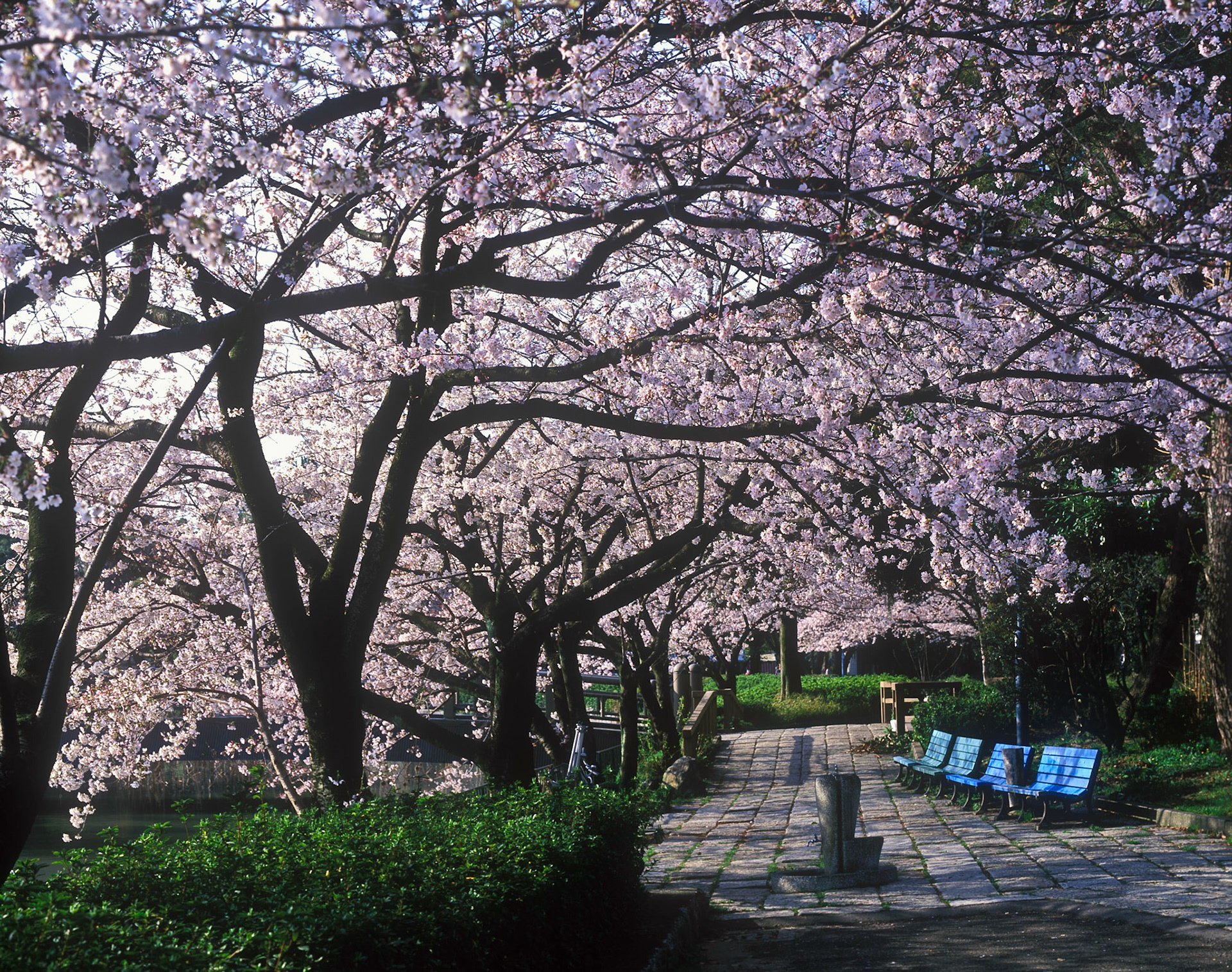 High resolution scan from transparency