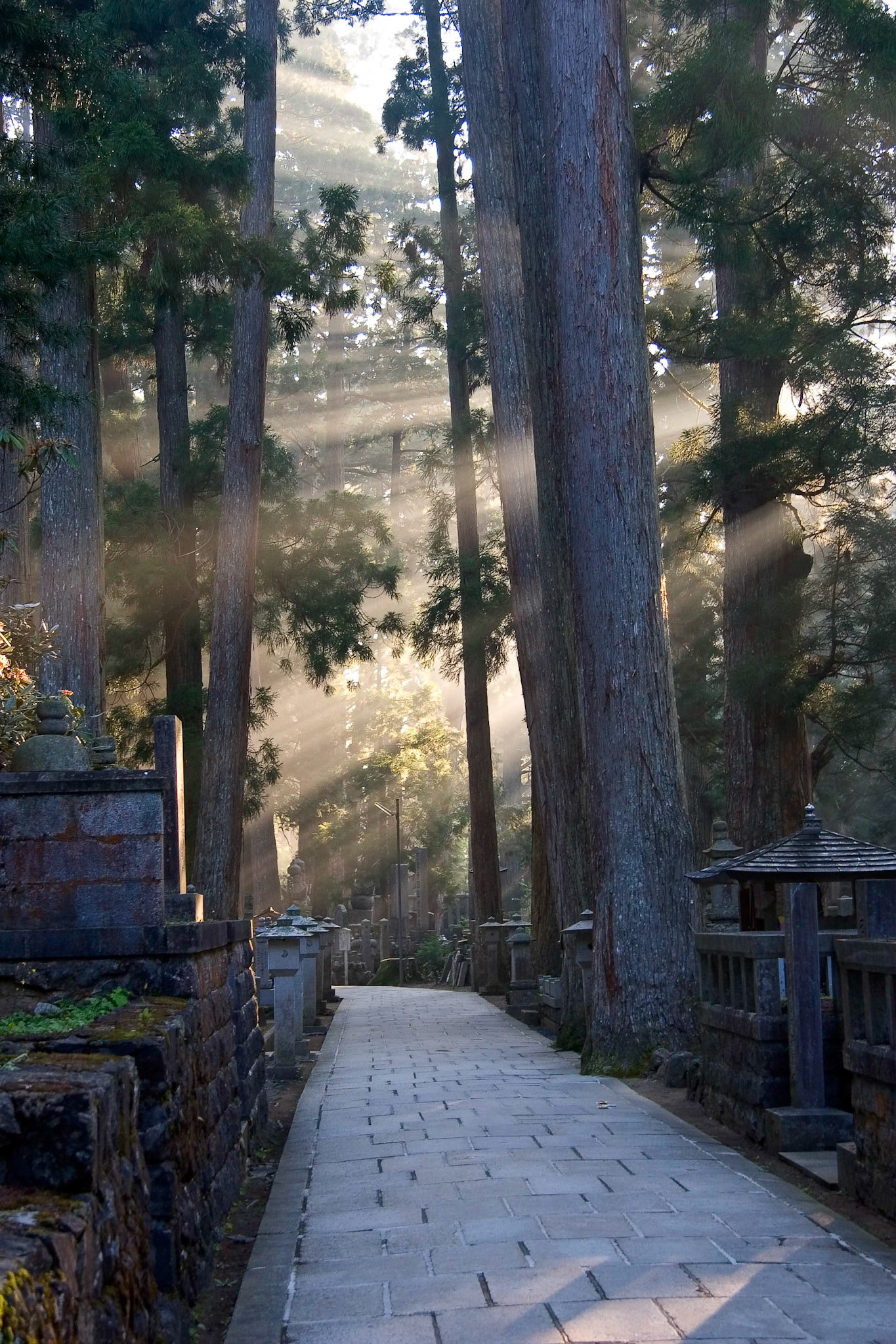 Okunoin Path, Koyasan, Japan