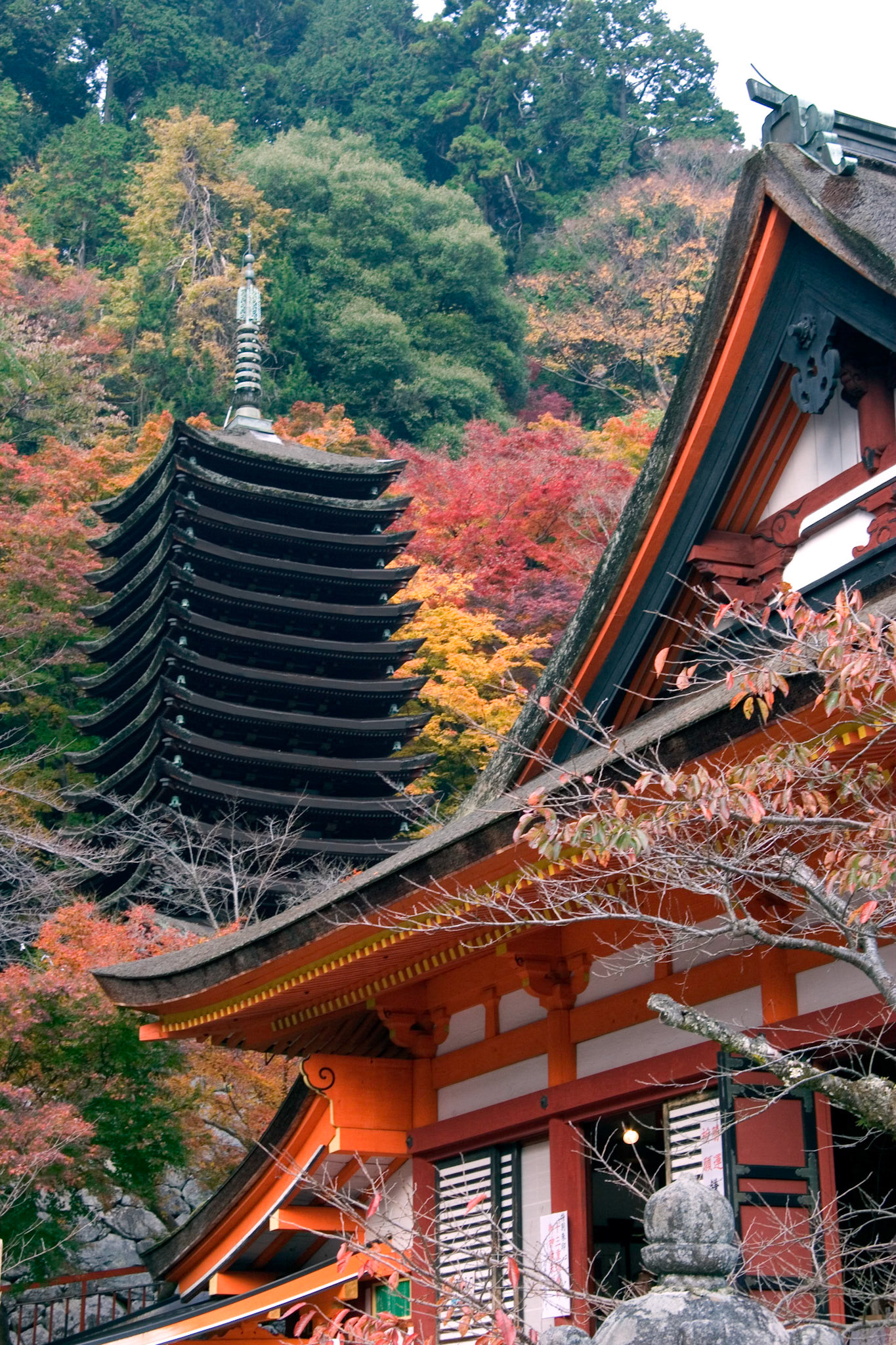 Tanzan Jinja, Nara Japan