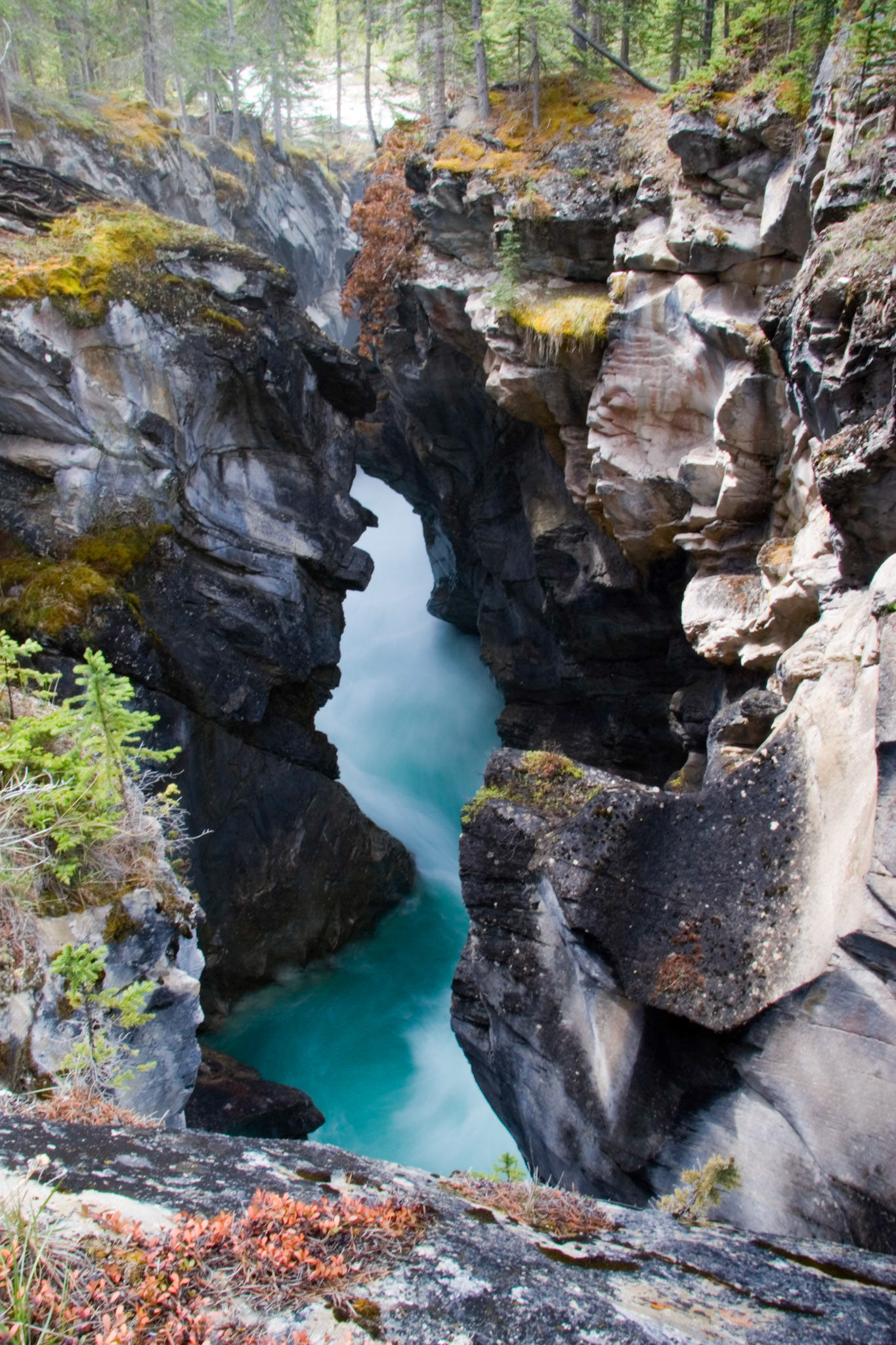 David Thompson Country, Alberta