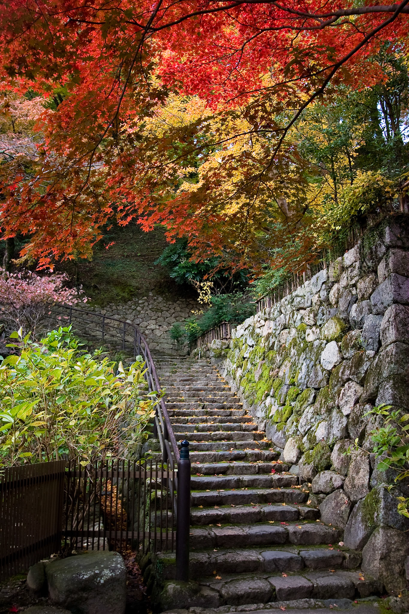 Hasedera Temple, Nara Prefecture, Japan