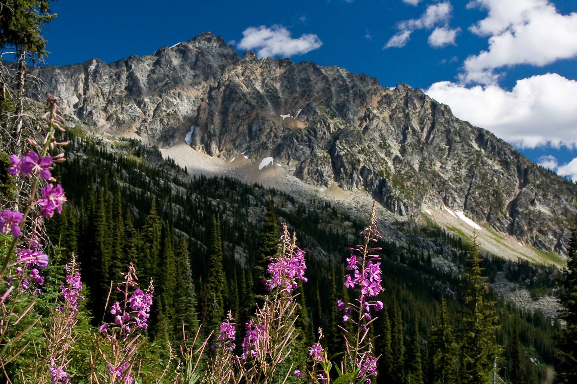 Kokanee Glacier Provincial Park, British Columbia