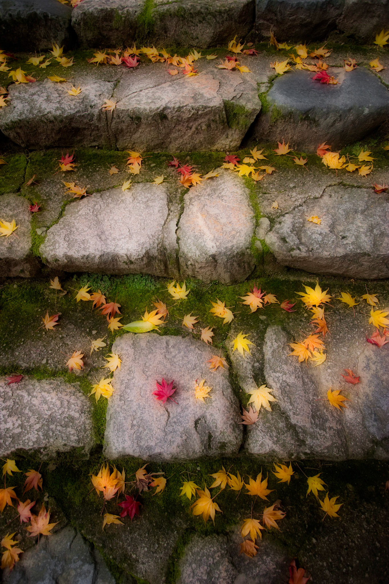Hasedera Temple, Nara Prefecture, Japan