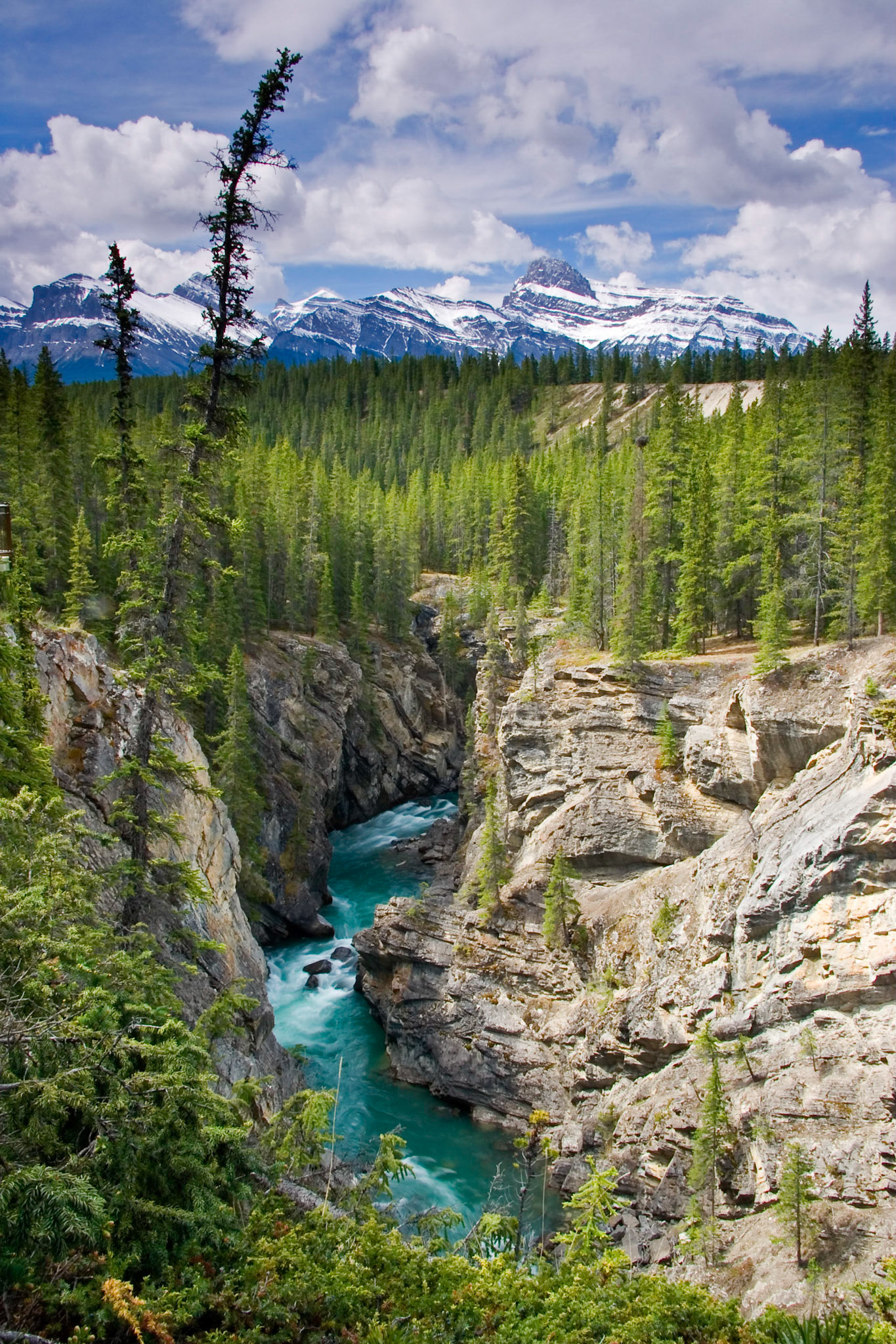 Siffleur Gorge, David Thompson Country, Alberta