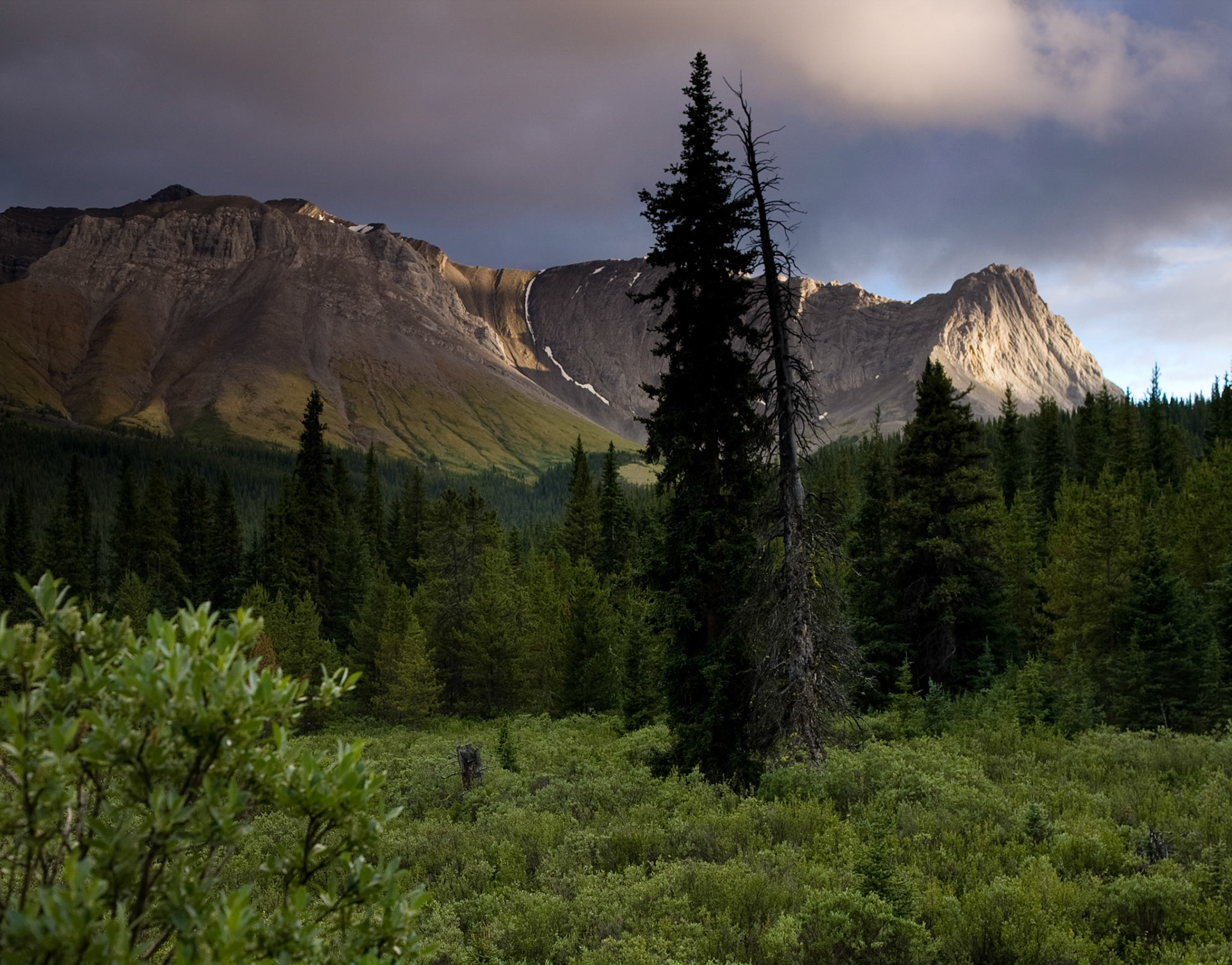 Willmore Wilderness Park, Alberta