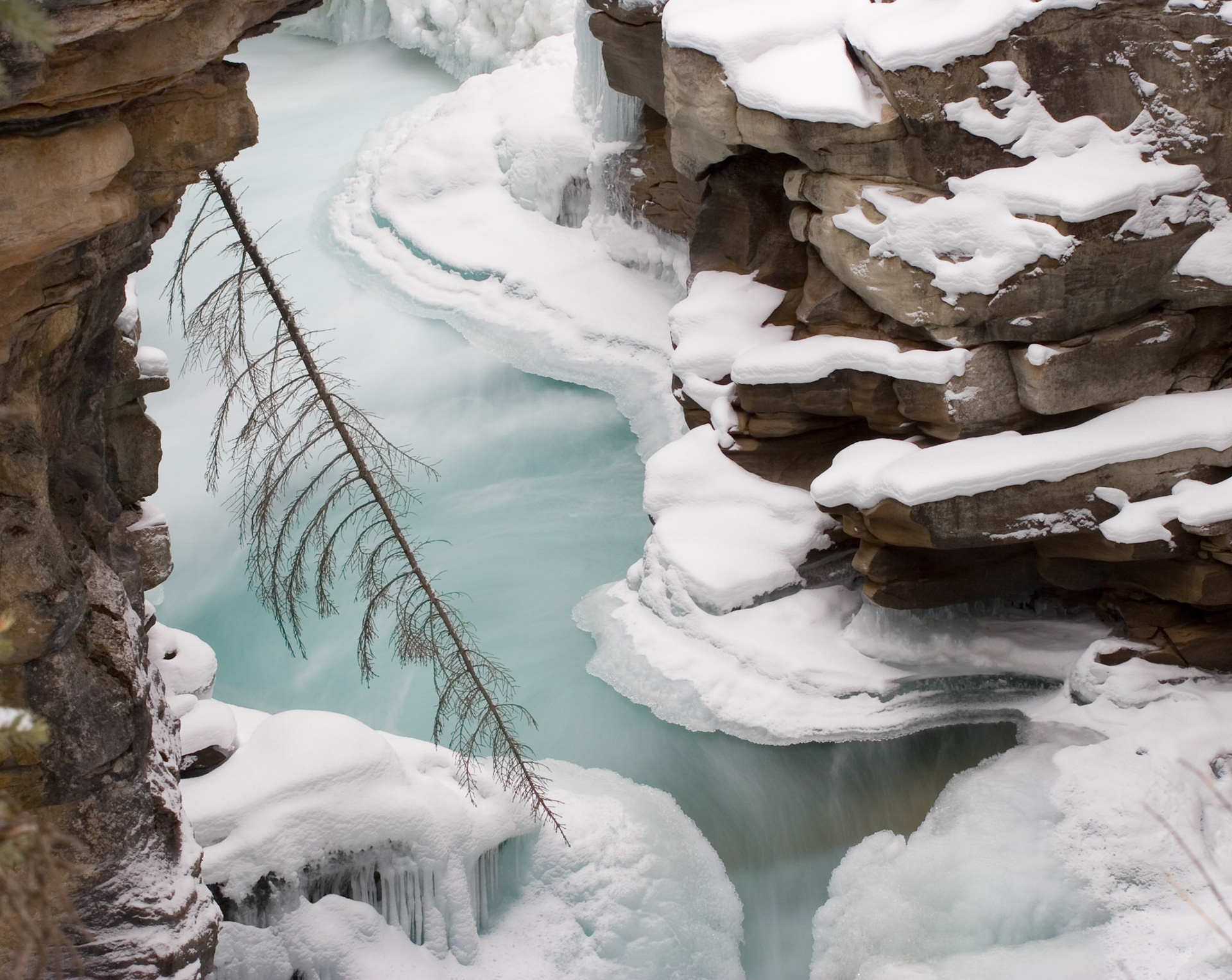 Athabasca Falls, Jasper National Park
