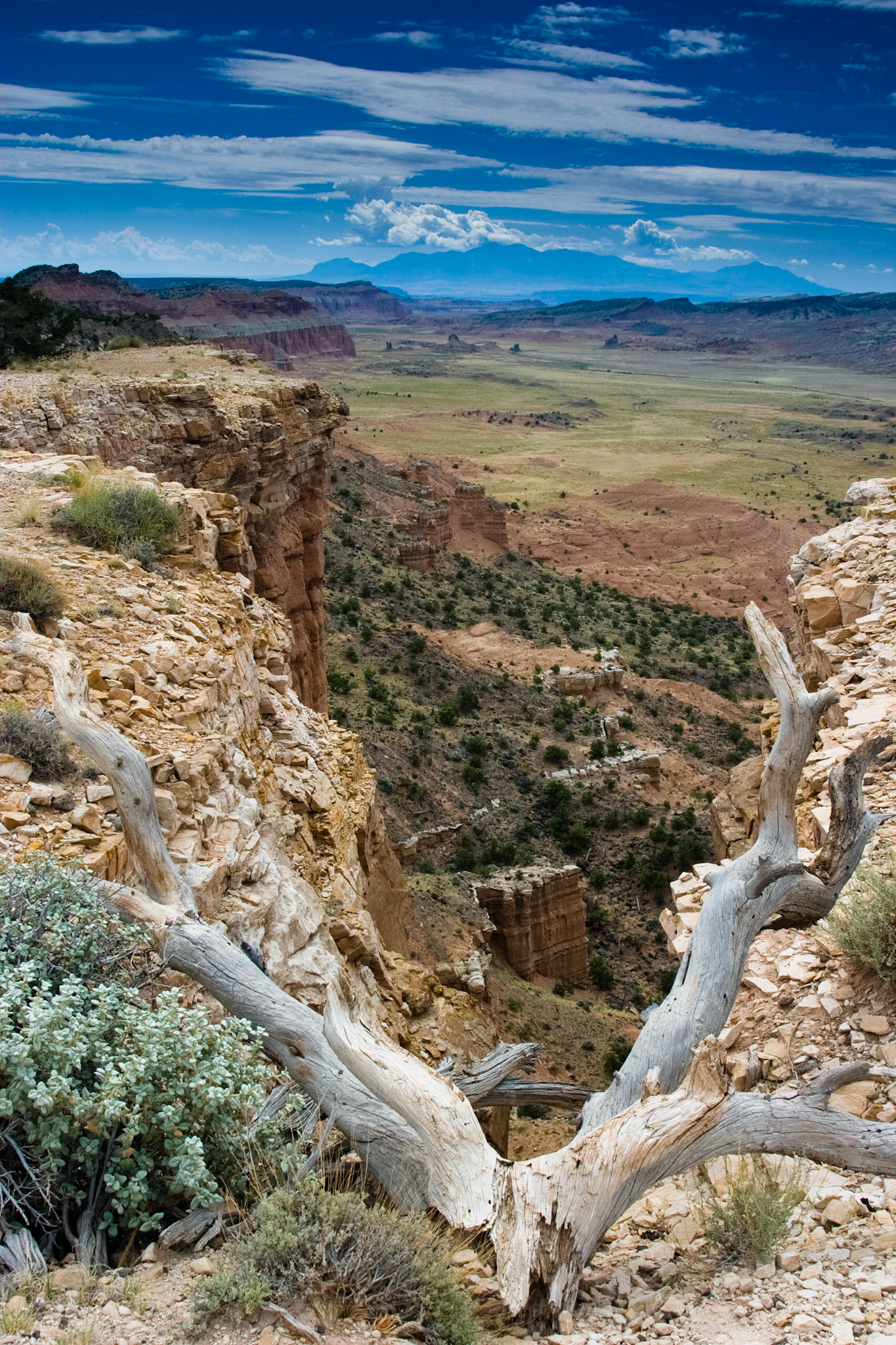 Upper South Desert Overlook, Capitol Reef N.P., Utah