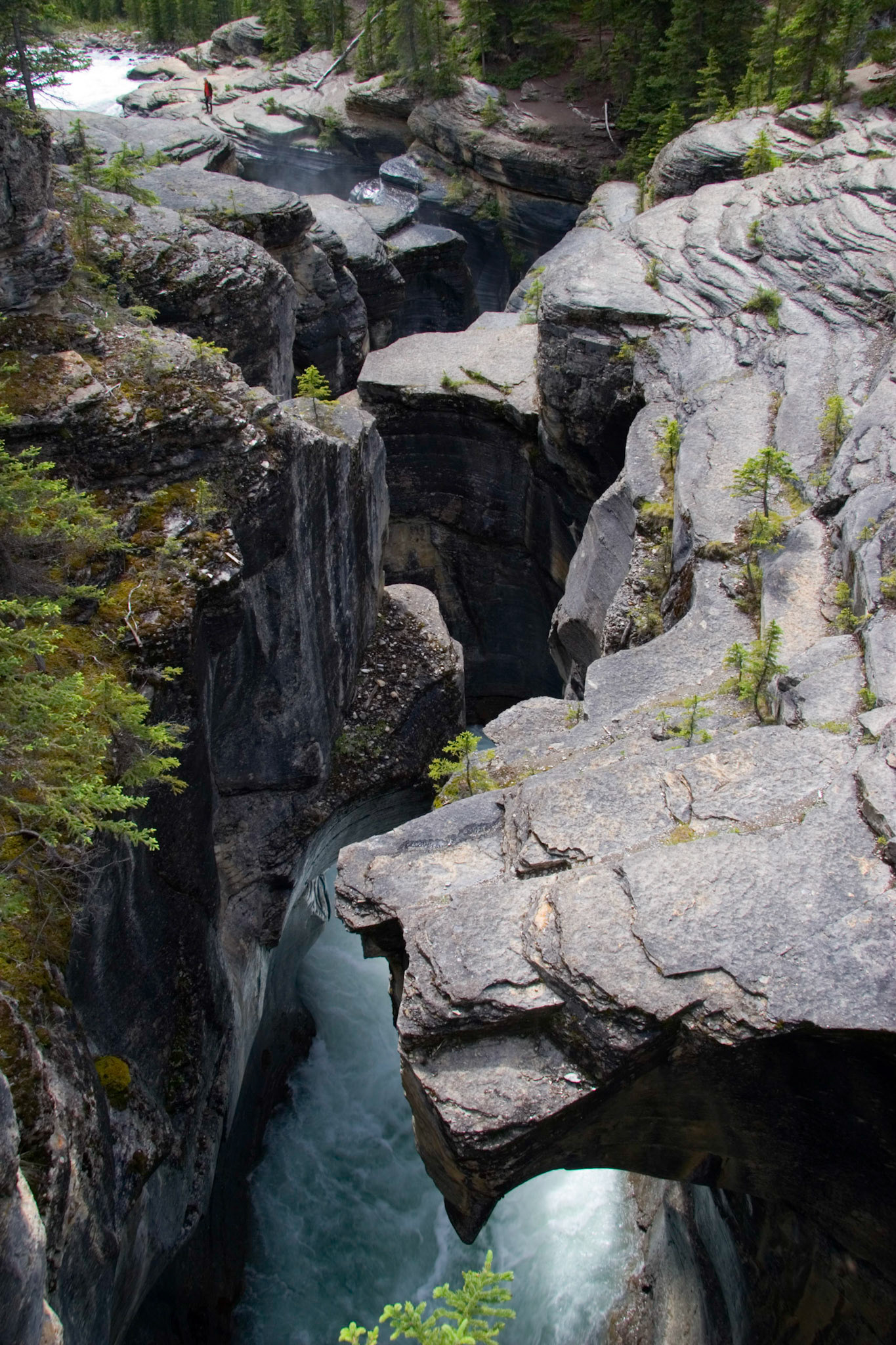 Maligne Canyon, Jasper National Park, Alberta